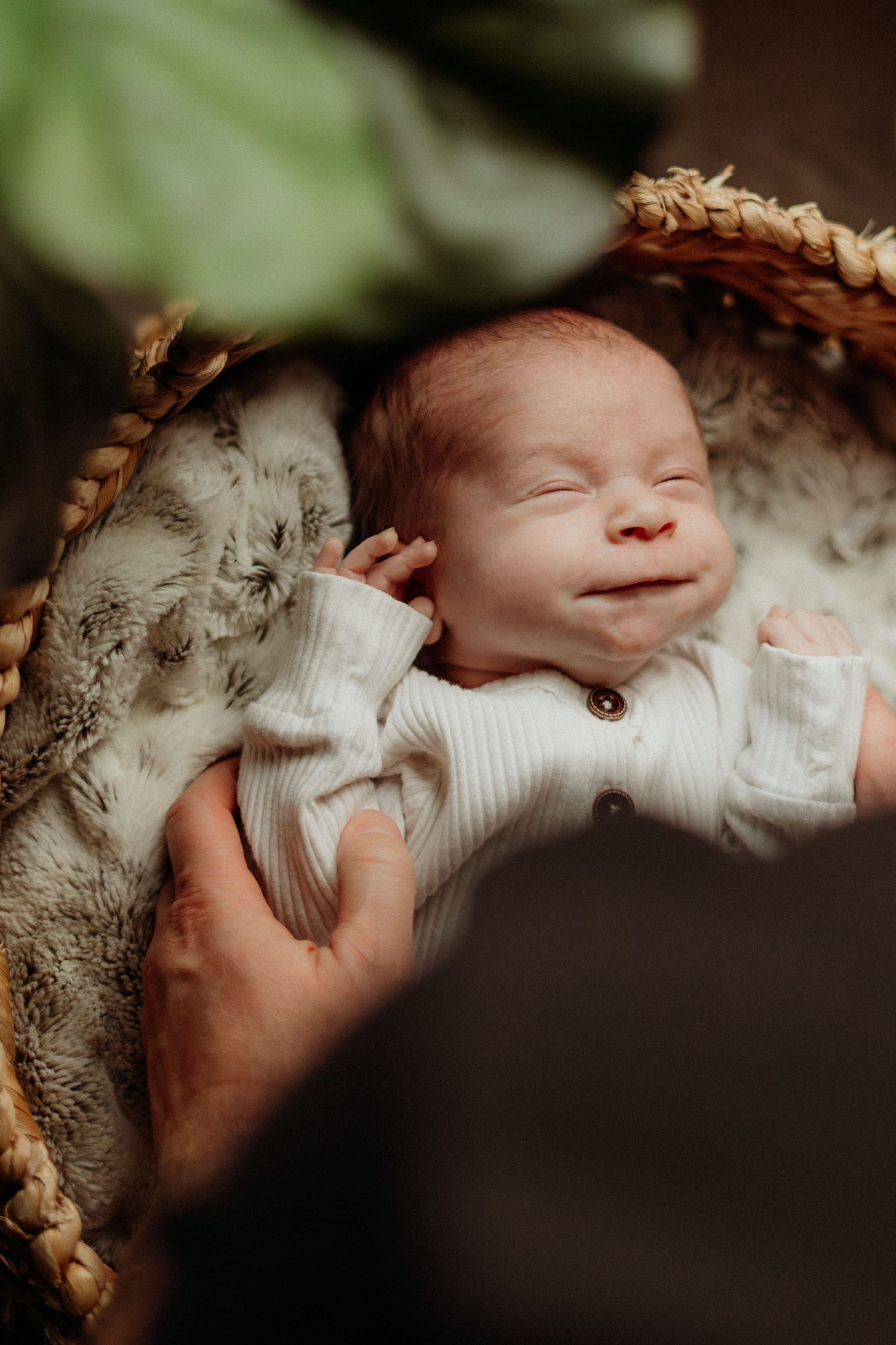 An infant sleeping soundly in a woven basket with plants visible in the background.