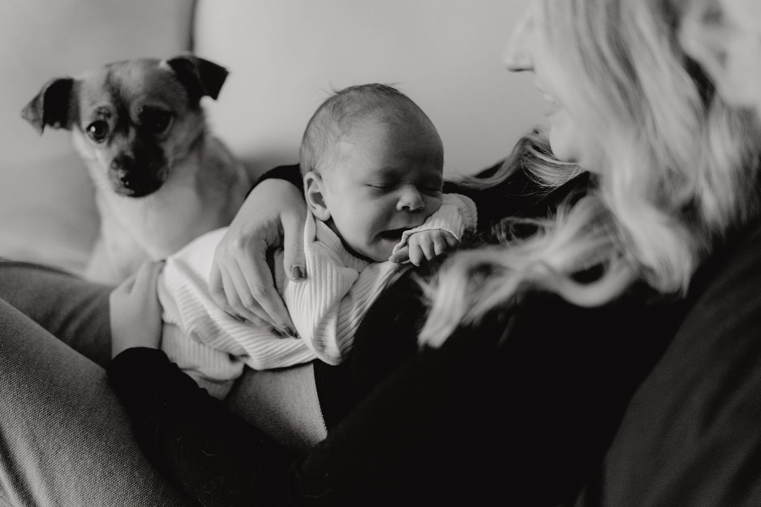 Intimate black and white portrait of a family bonding on their couch.