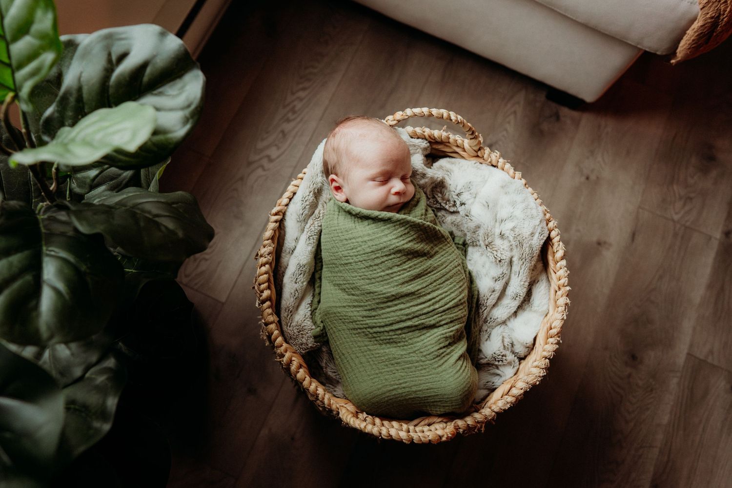 Sleeping baby wrapped in olive green swaddle lying in woven basket with stuffed animal.