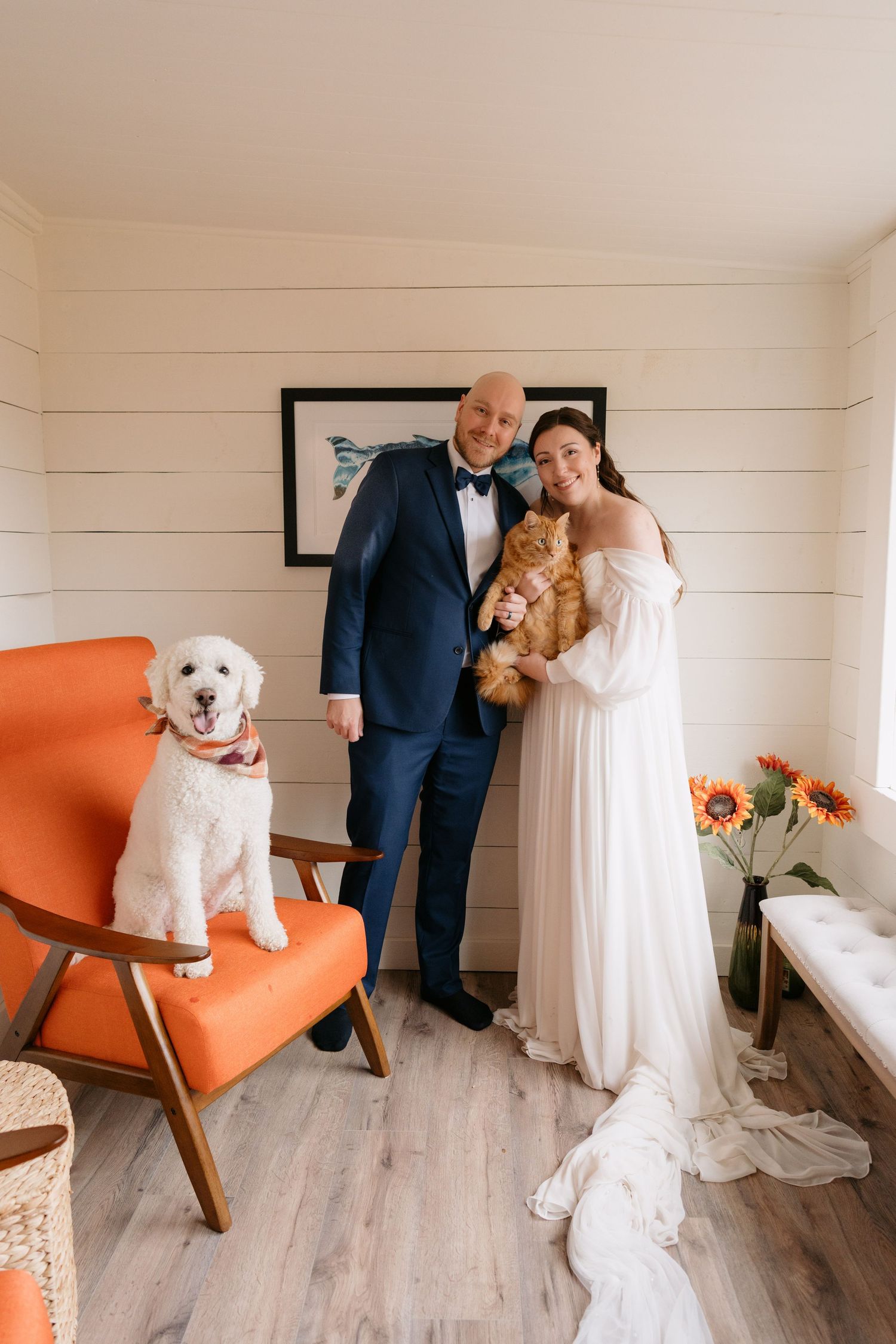 A couple in wedding attire poses with their fluffy white dog on an orange mid-century modern chair in a bright room.