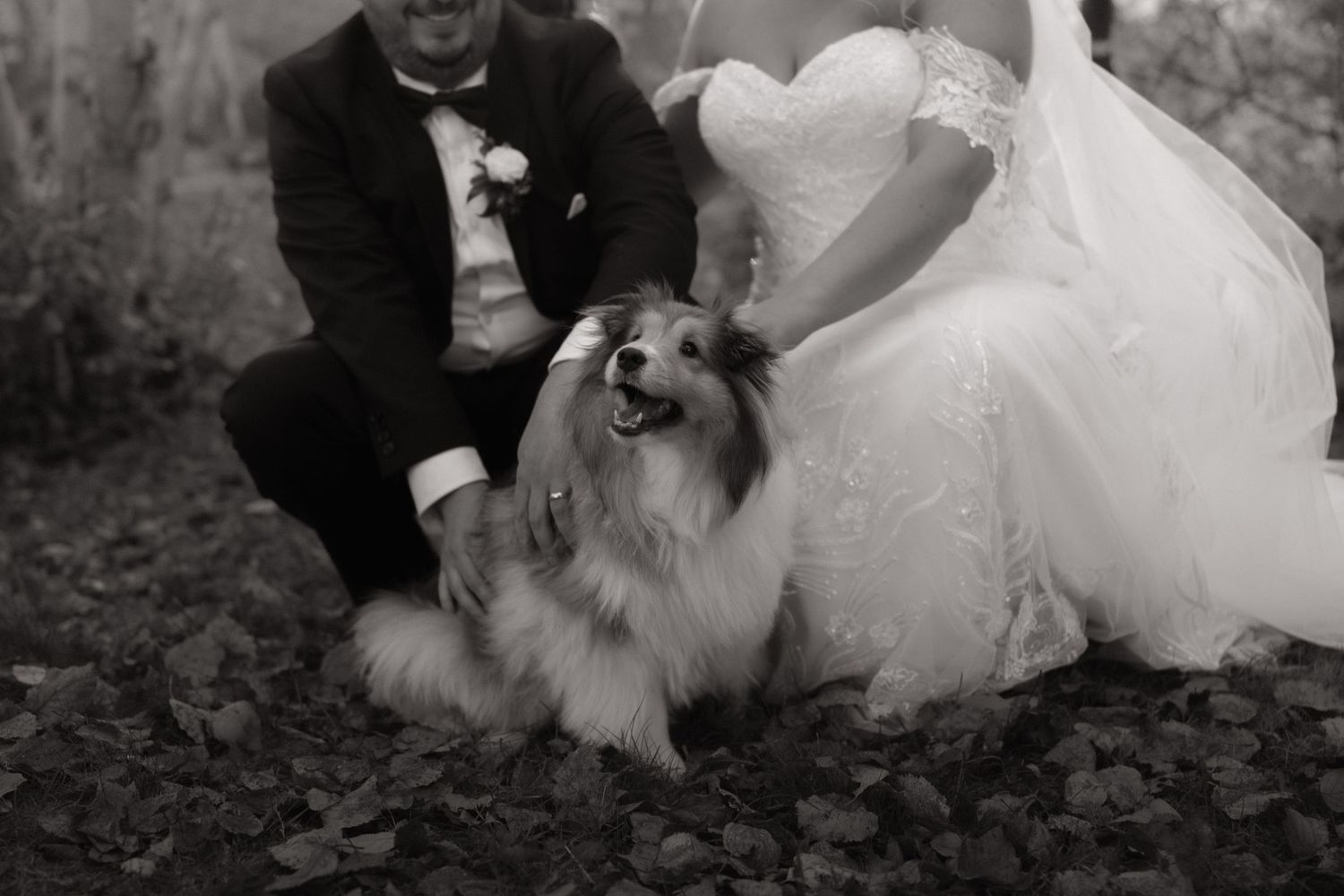 A black and white wedding photo collage showing intimate moments between a couple with their dog in an outdoor setting.