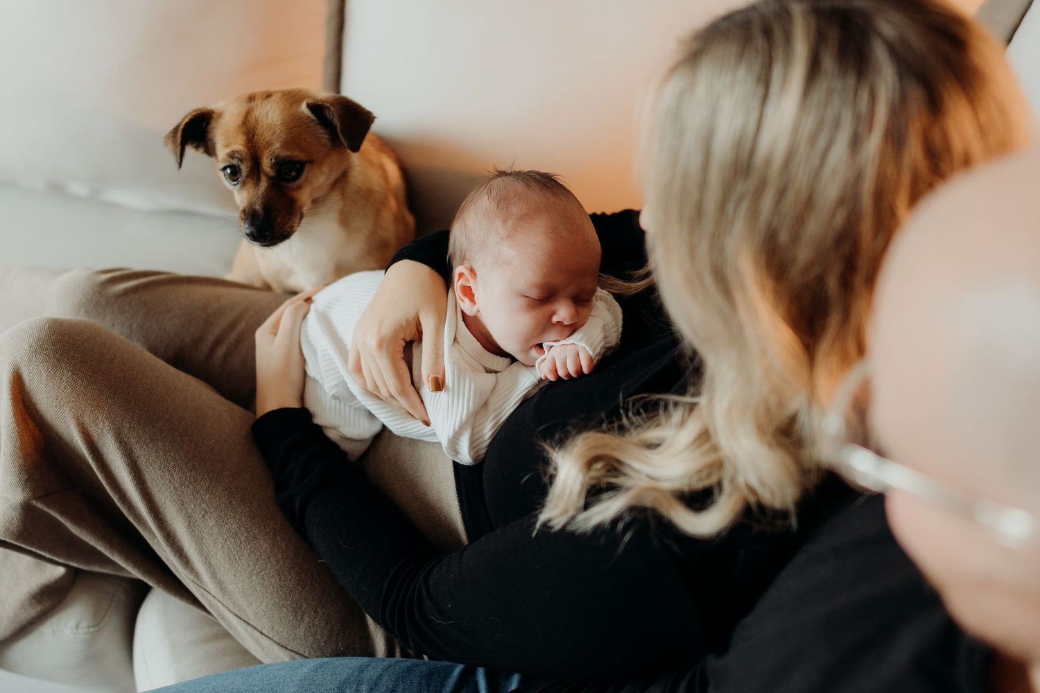 A sweet family moment captured with a dog and infant on a light colored sofa.