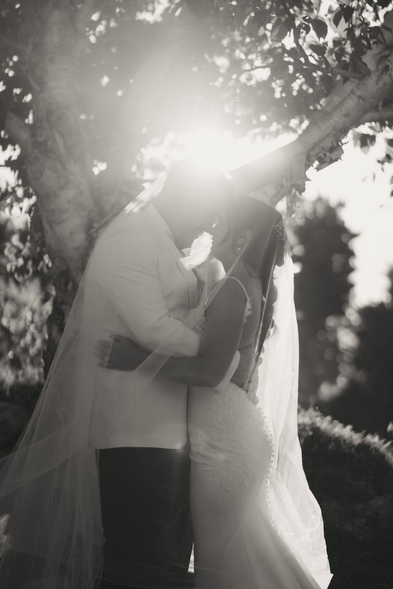 A romantic black and white wedding photo sequence showing a couple embracing under sunlit trees with a flowing veil.