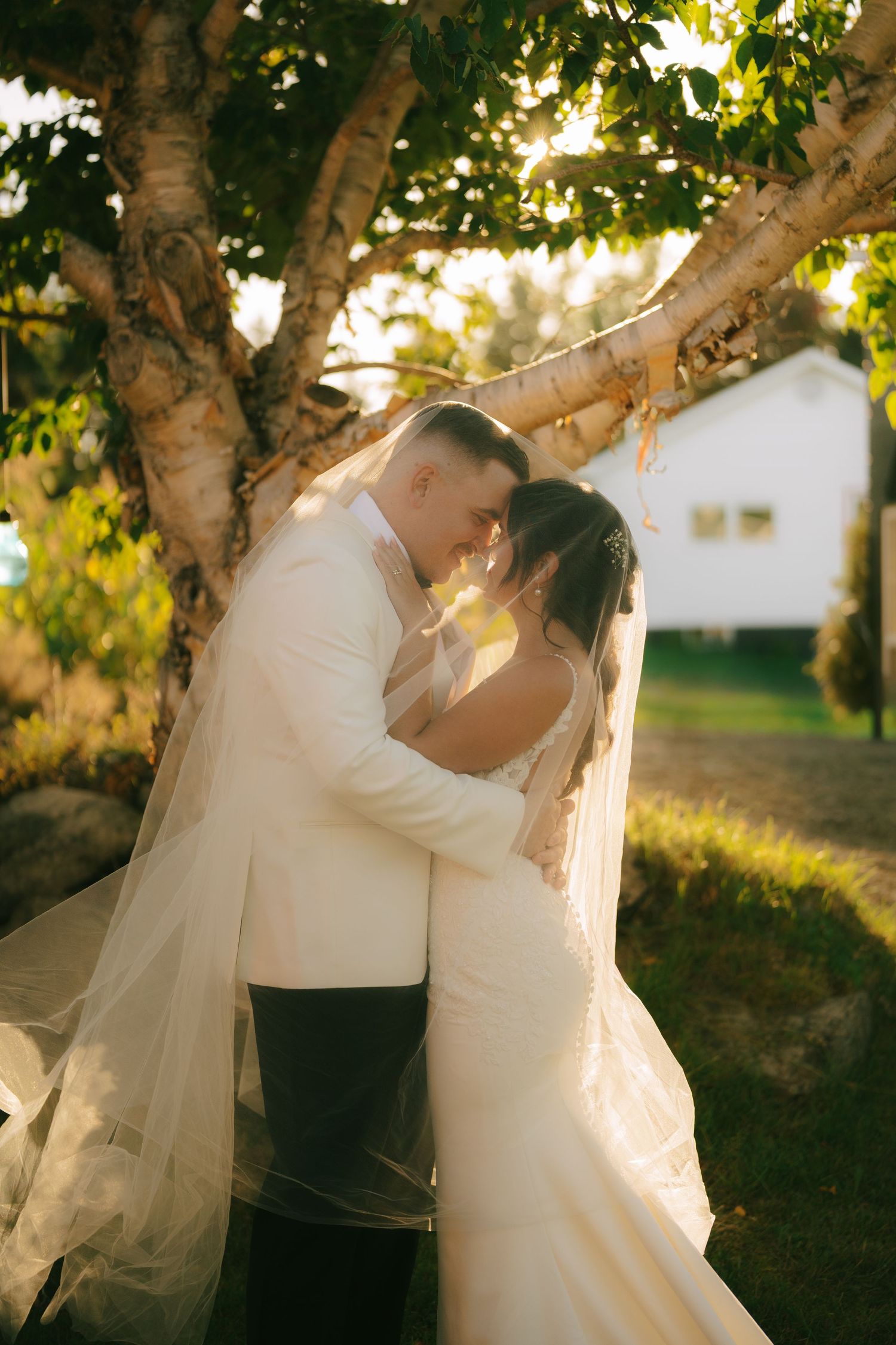 A romantic wedding couple embraces under a sunlit tree with flowing white veil and dress creating a dreamy atmosphere.