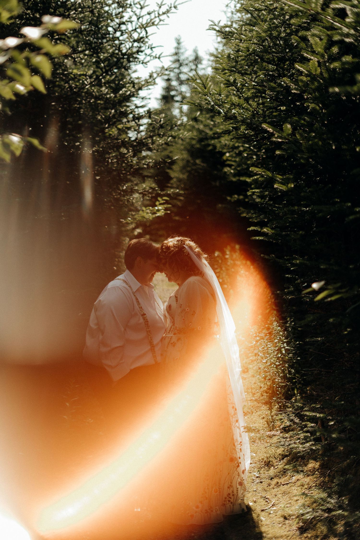 Sunset wedding photoshoot among evergreen trees with warm lens flare effects.