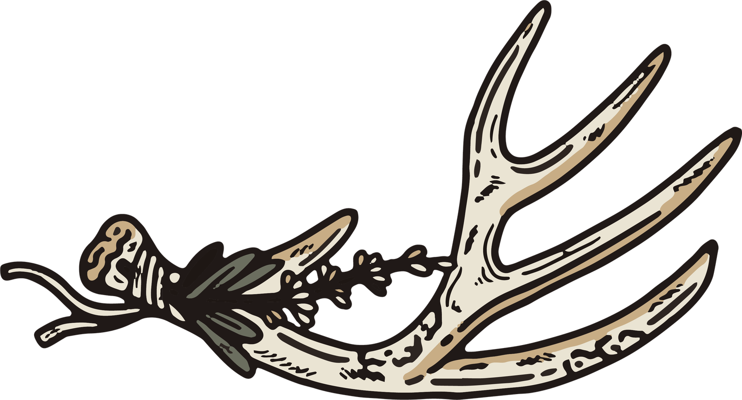 Minimalist line drawing of antlers with floral accents in beige and black.