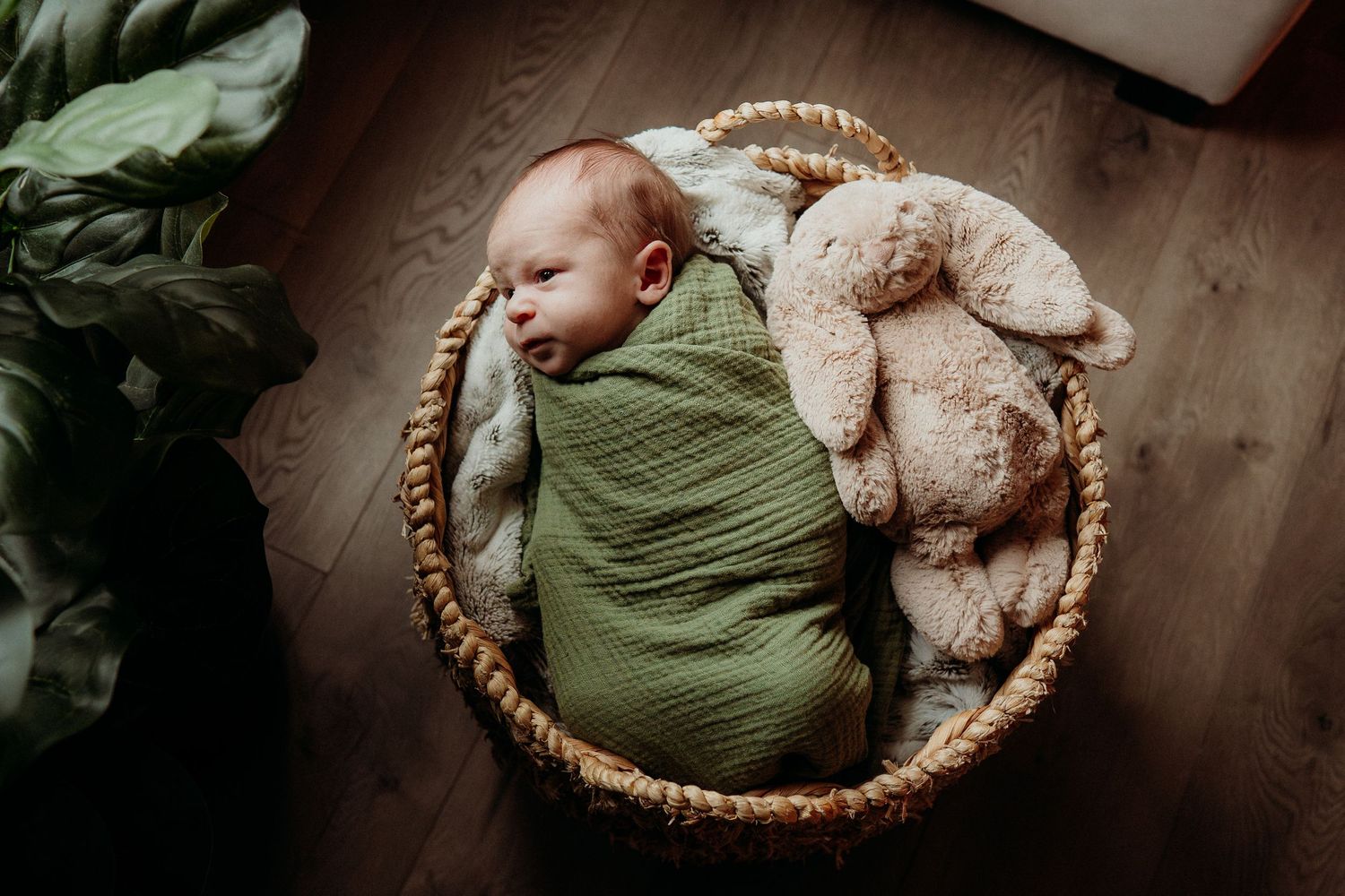 Baby sleeping peacefully in round basket with plush companion and green wrap.