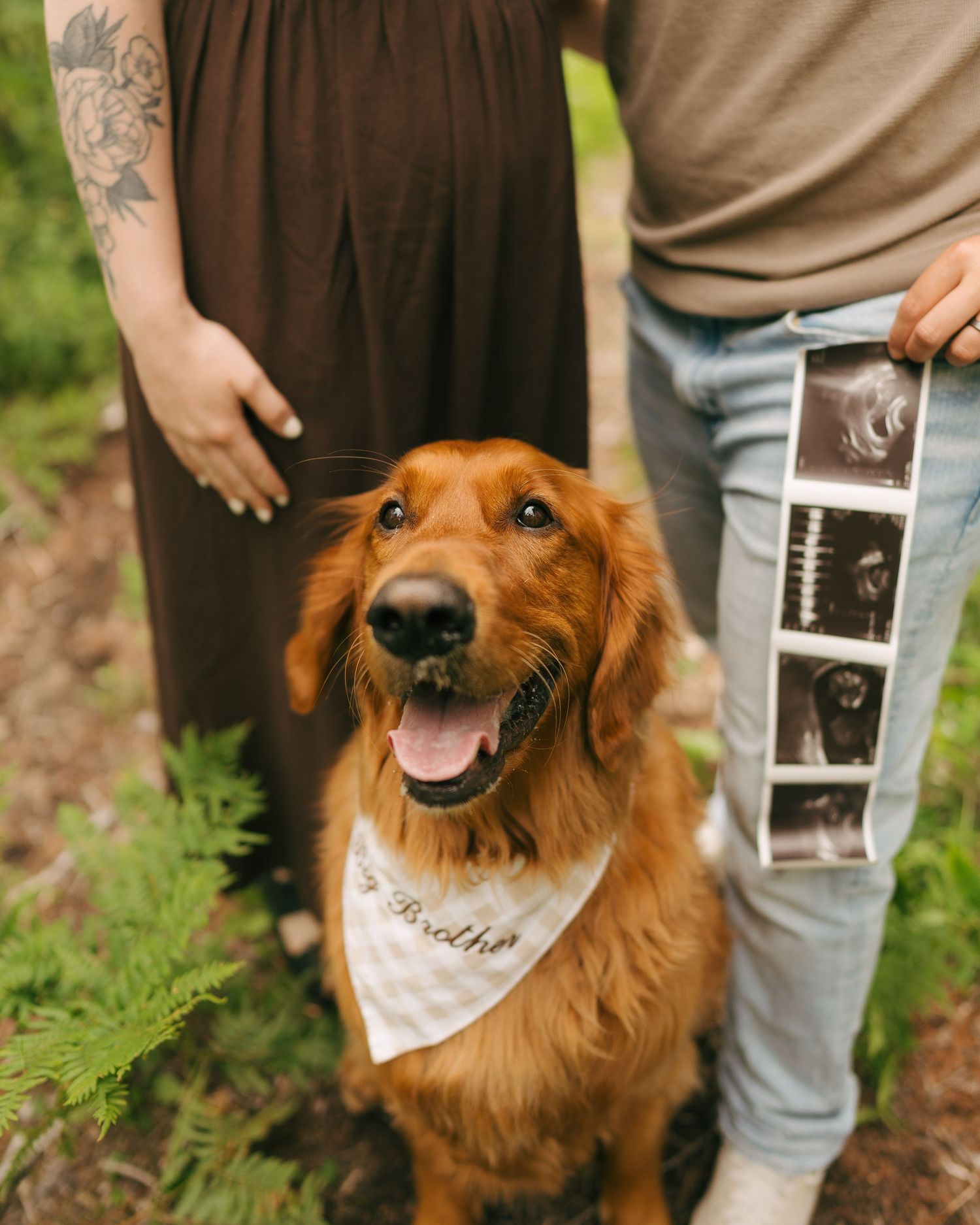 Golden retriever wearing a Big Brother bandana sits beside expecting parents holding ultrasound photos outdoors.