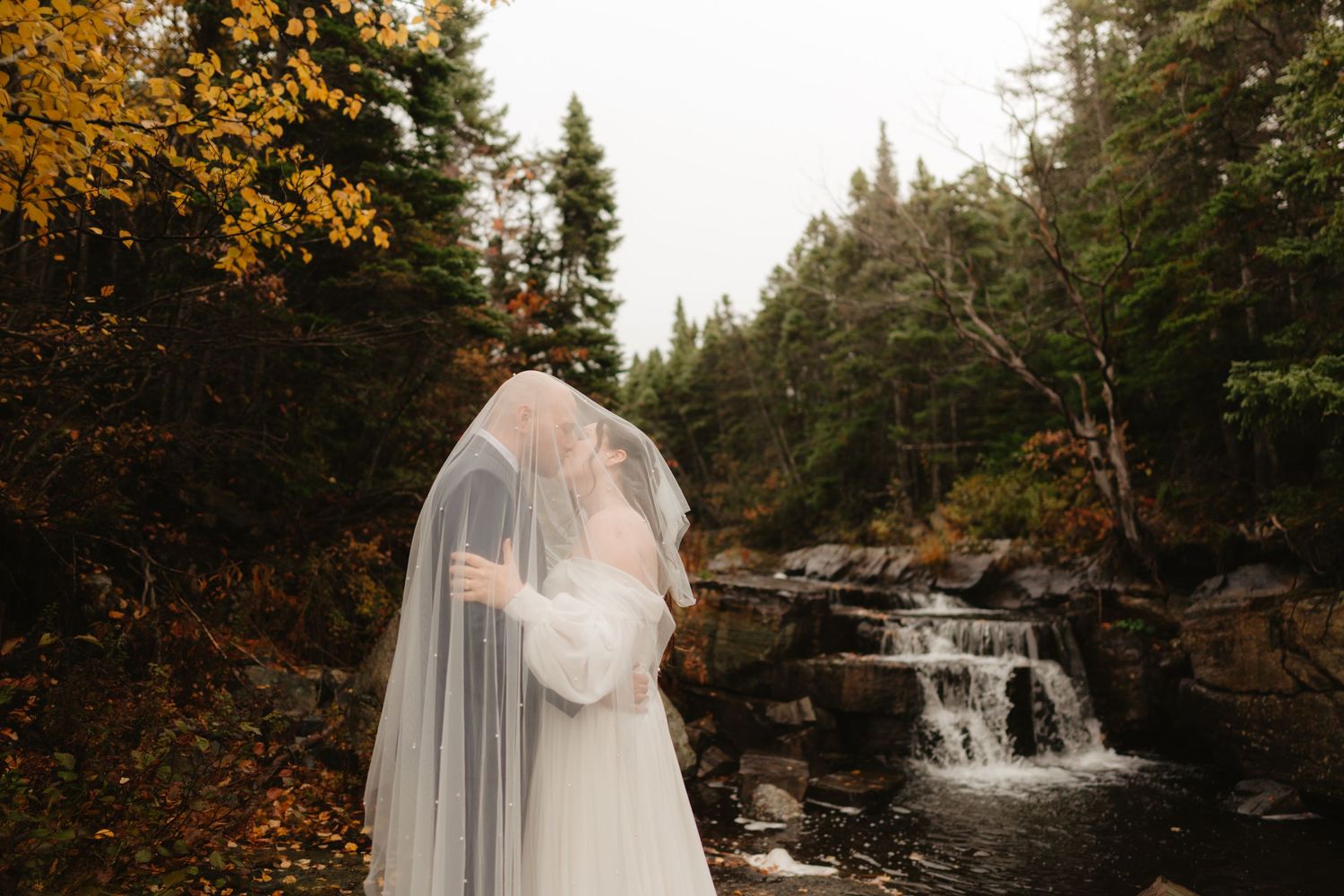 A scenic autumn forest waterfall cascades over rocks surrounded by golden foliage and evergreen trees.