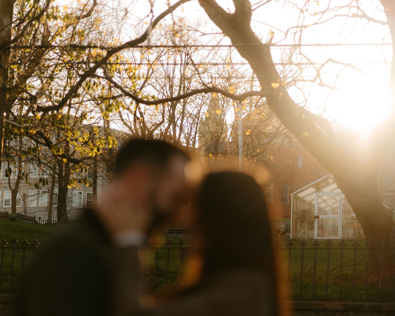 Couple sharing a romantic kiss outdoors at golden hour, with sunlight streaming through bare trees in a park.