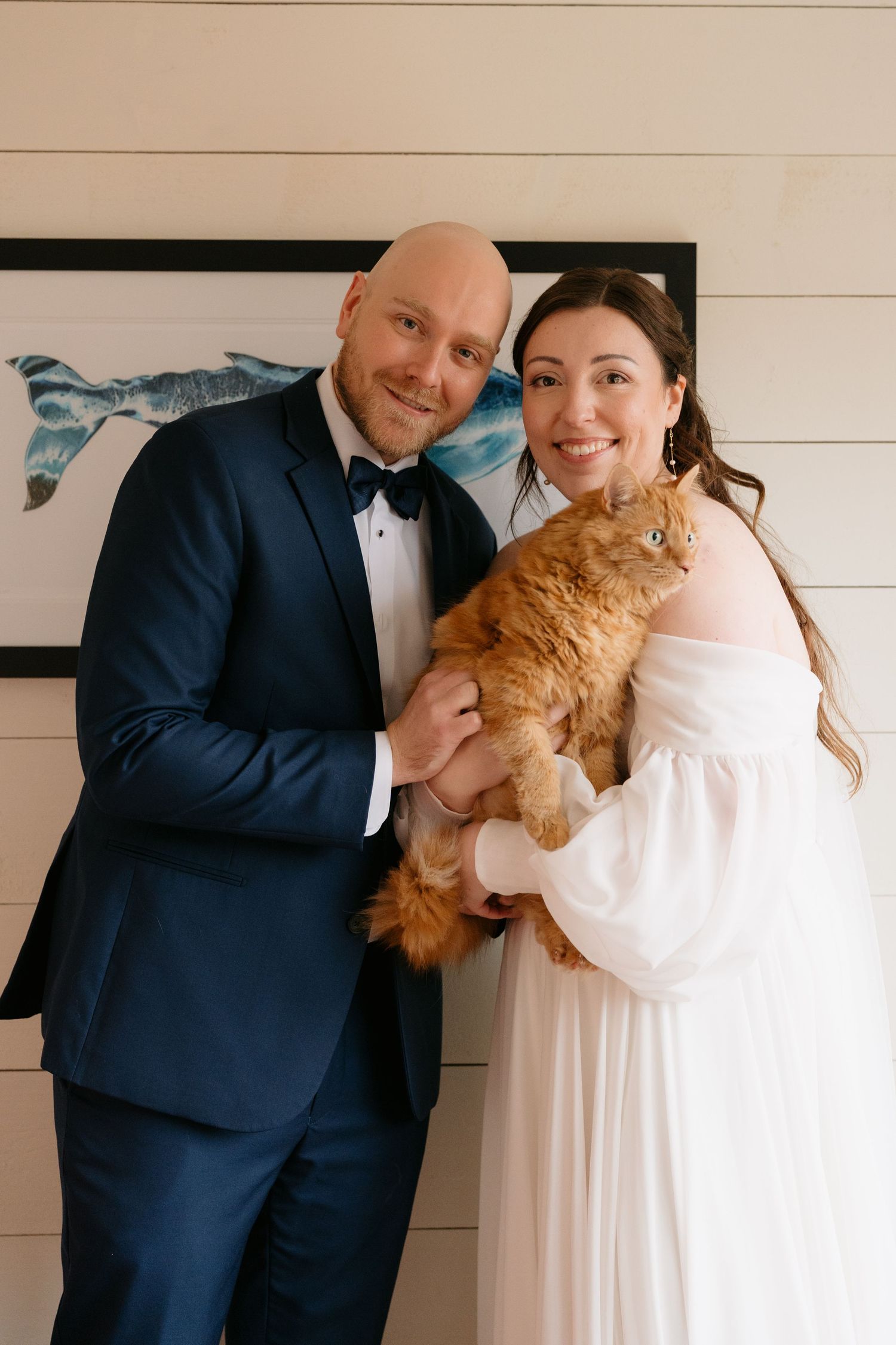A couple in formal attire holds an orange cat while posing against a white wall in a series of candid shots.