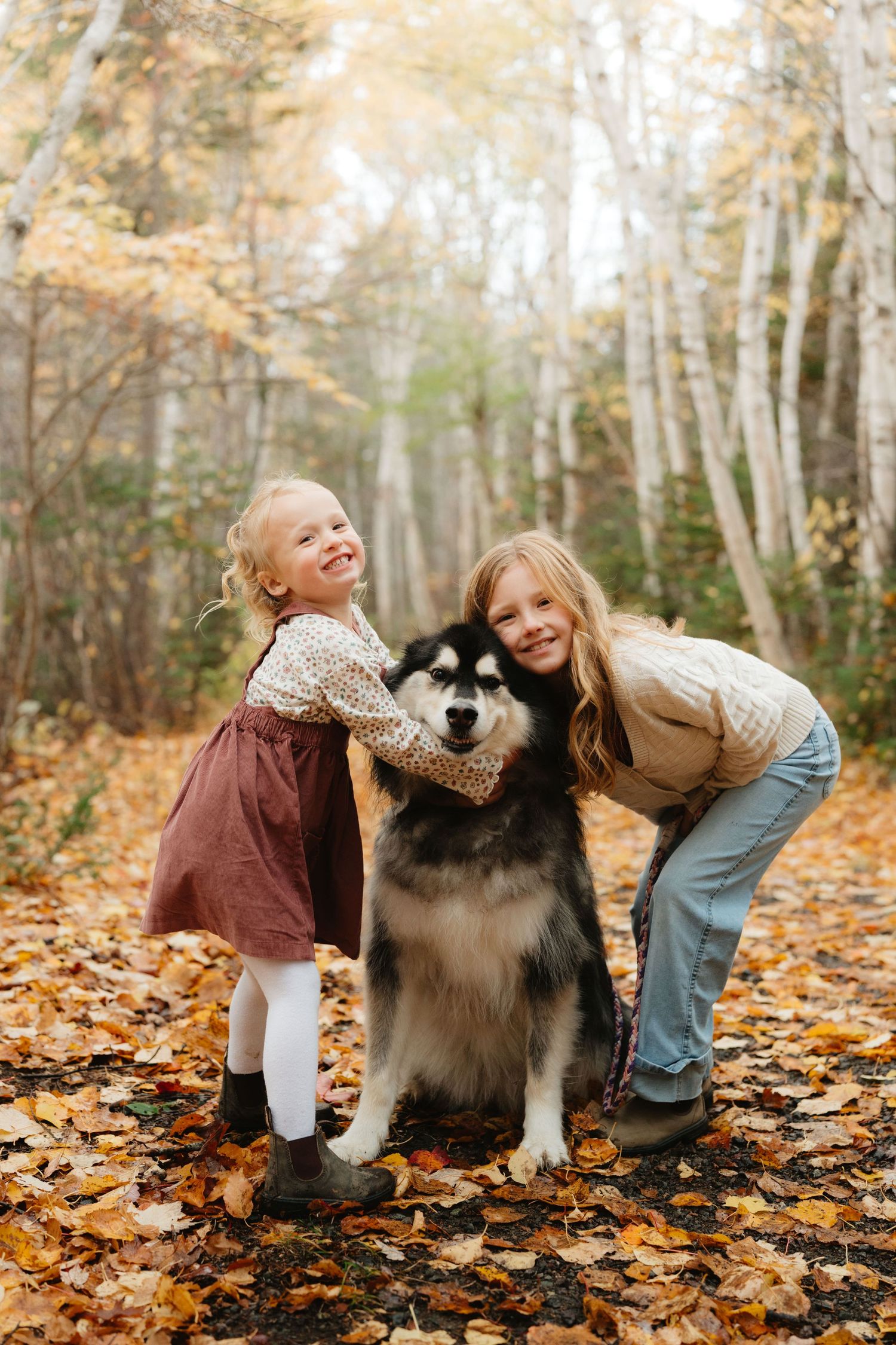 Two children pose with a fluffy Alaskan Malamute dog on fallen autumn leaves in a misty birch forest.