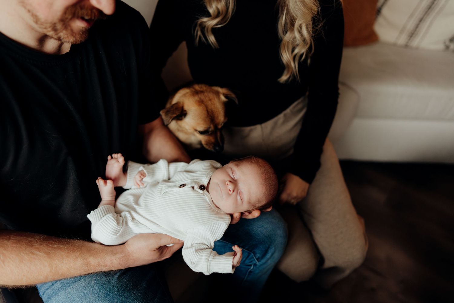 Parents cradle their newborn baby while their small dog looks on with interest.
