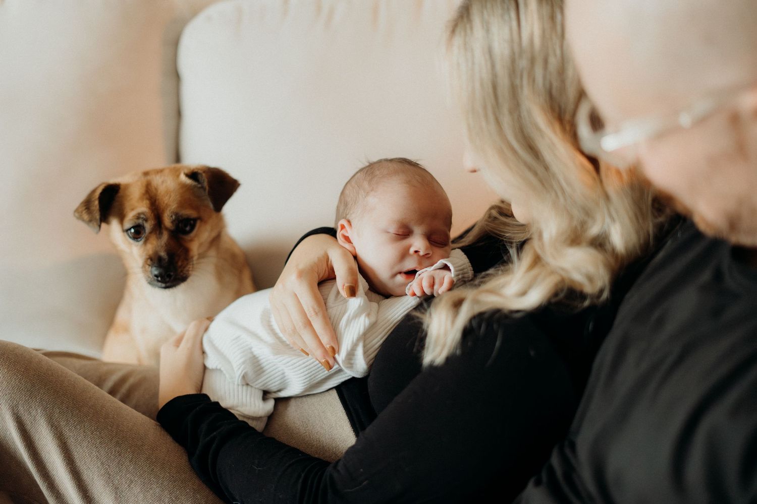Natural light captures of family members and brown dog sharing quiet moments together.