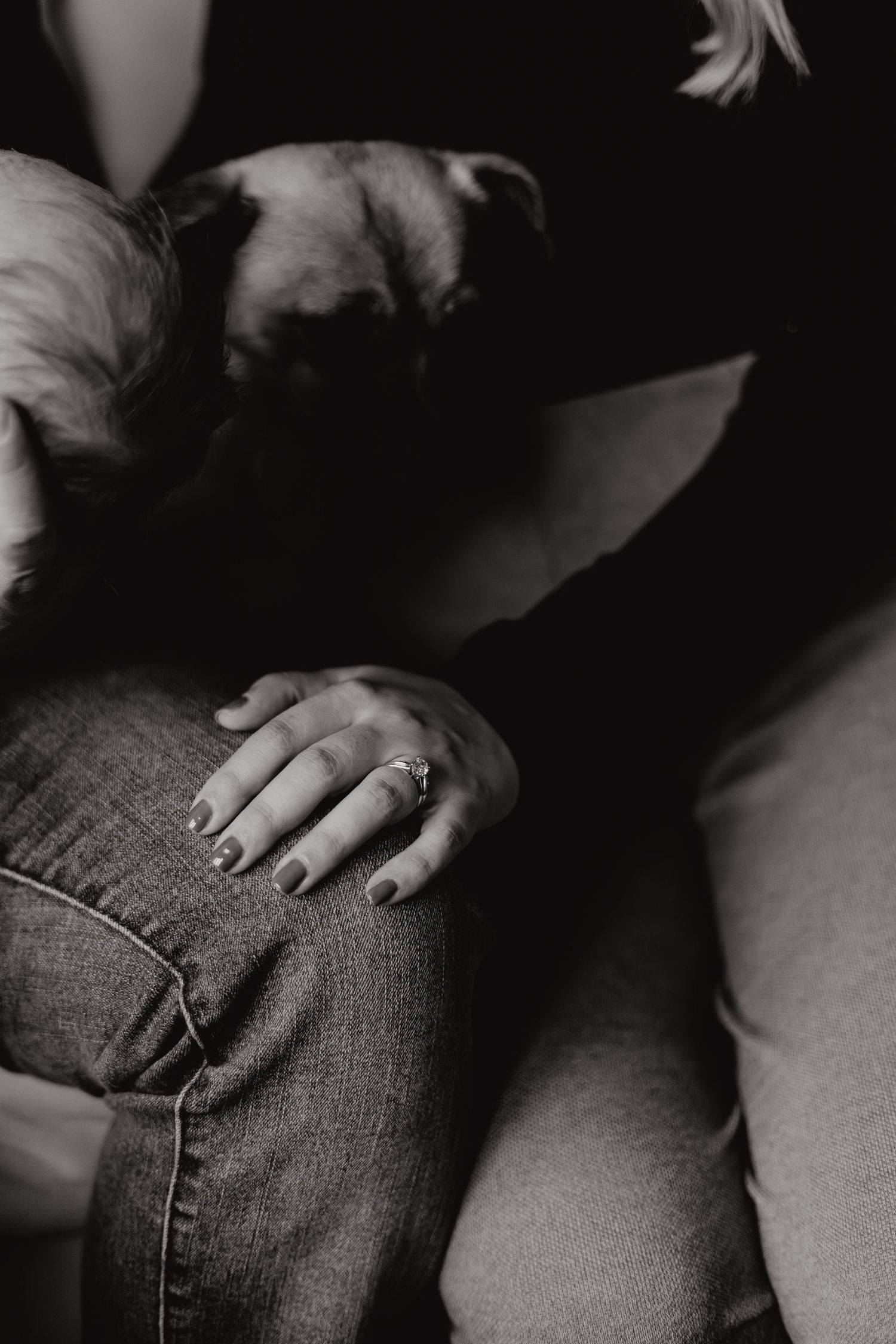 Close-up of a hand with painted nails resting on denim with a dog visible in shadow.