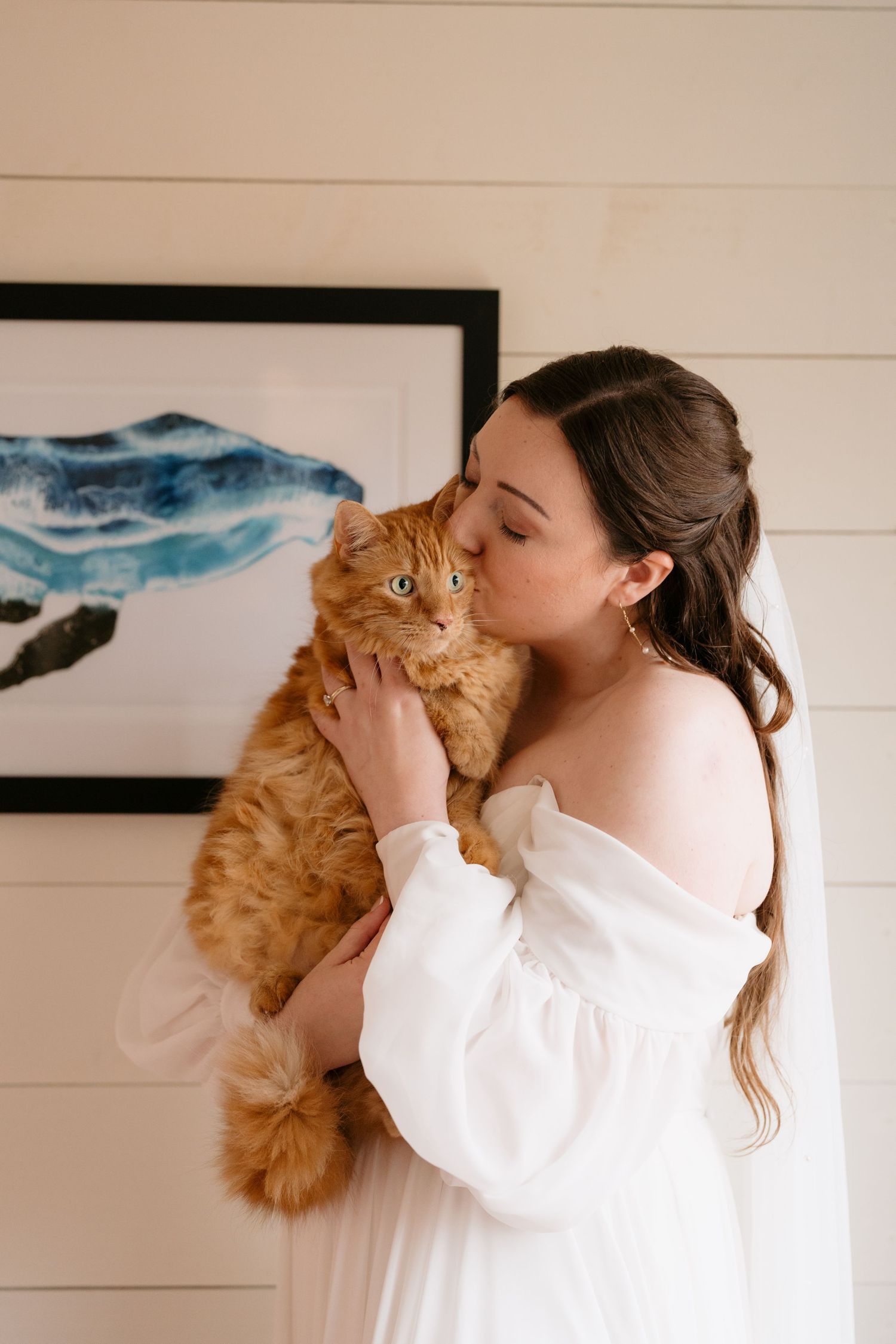 A person in a white sweater holds and cuddles with a fluffy ginger cat in a series of affectionate poses.