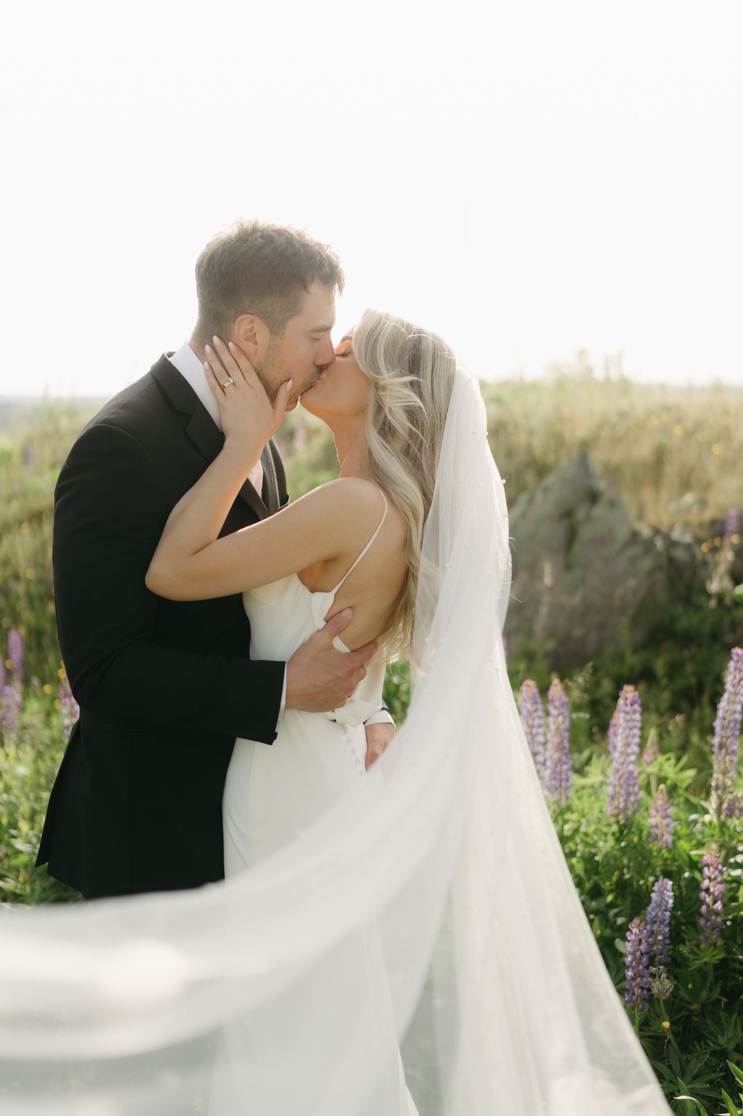 A tender wedding kiss captured in soft light with blooming lupines in the background.