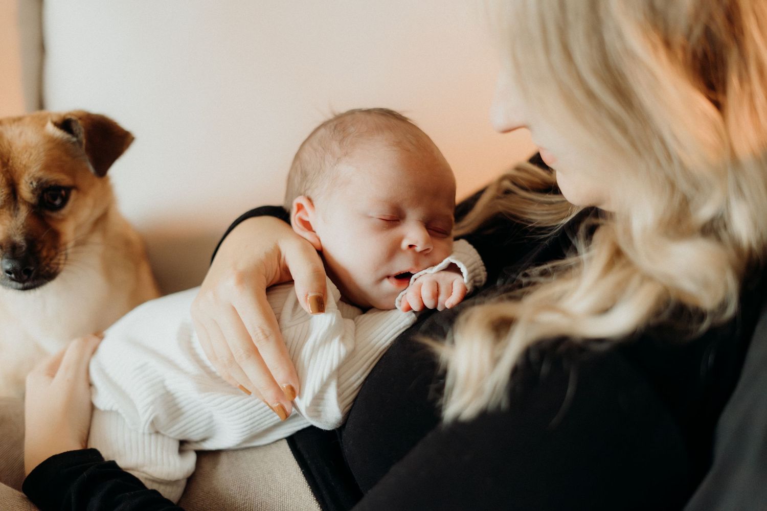 Relaxed indoor photoshoot featuring a baby and dog with warm neutral tones and soft lighting.