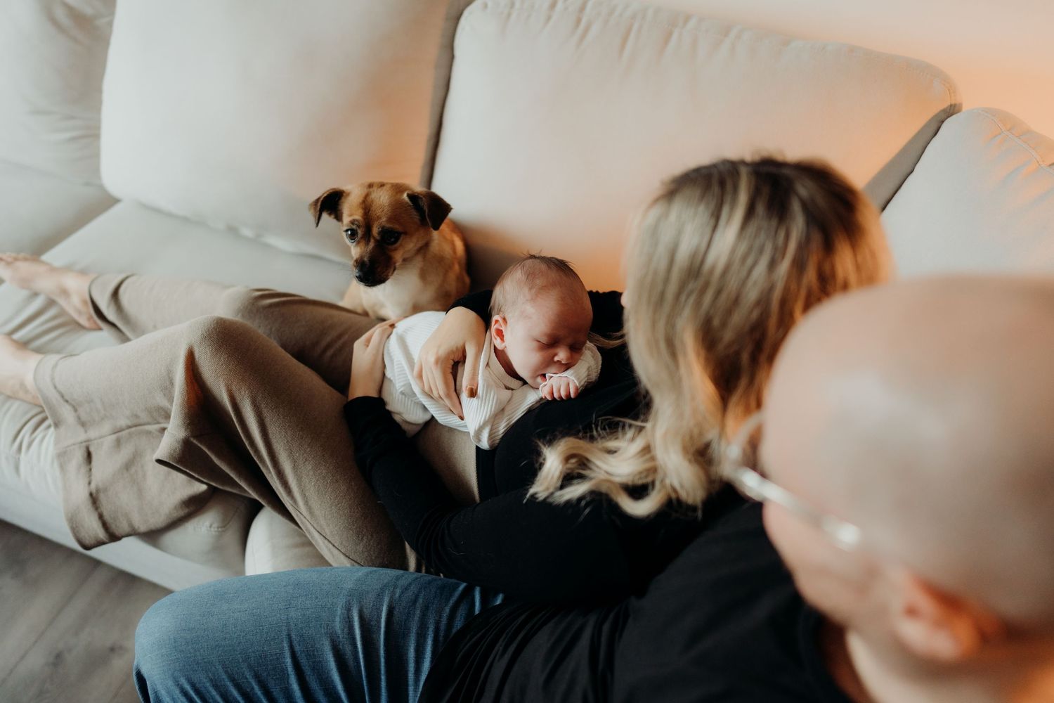 A family scene with a dog joining an intimate moment on the couch.