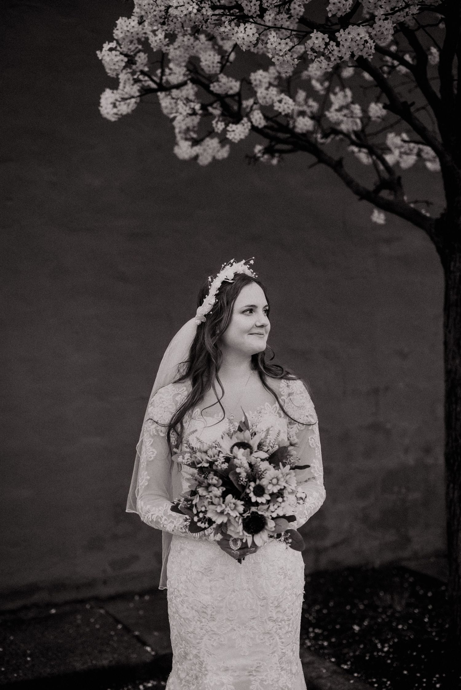 Best wedding photographer in Wheeling WV – Miranda Nicole Photo + Video captures emotional, timeless moments with artistry and care.