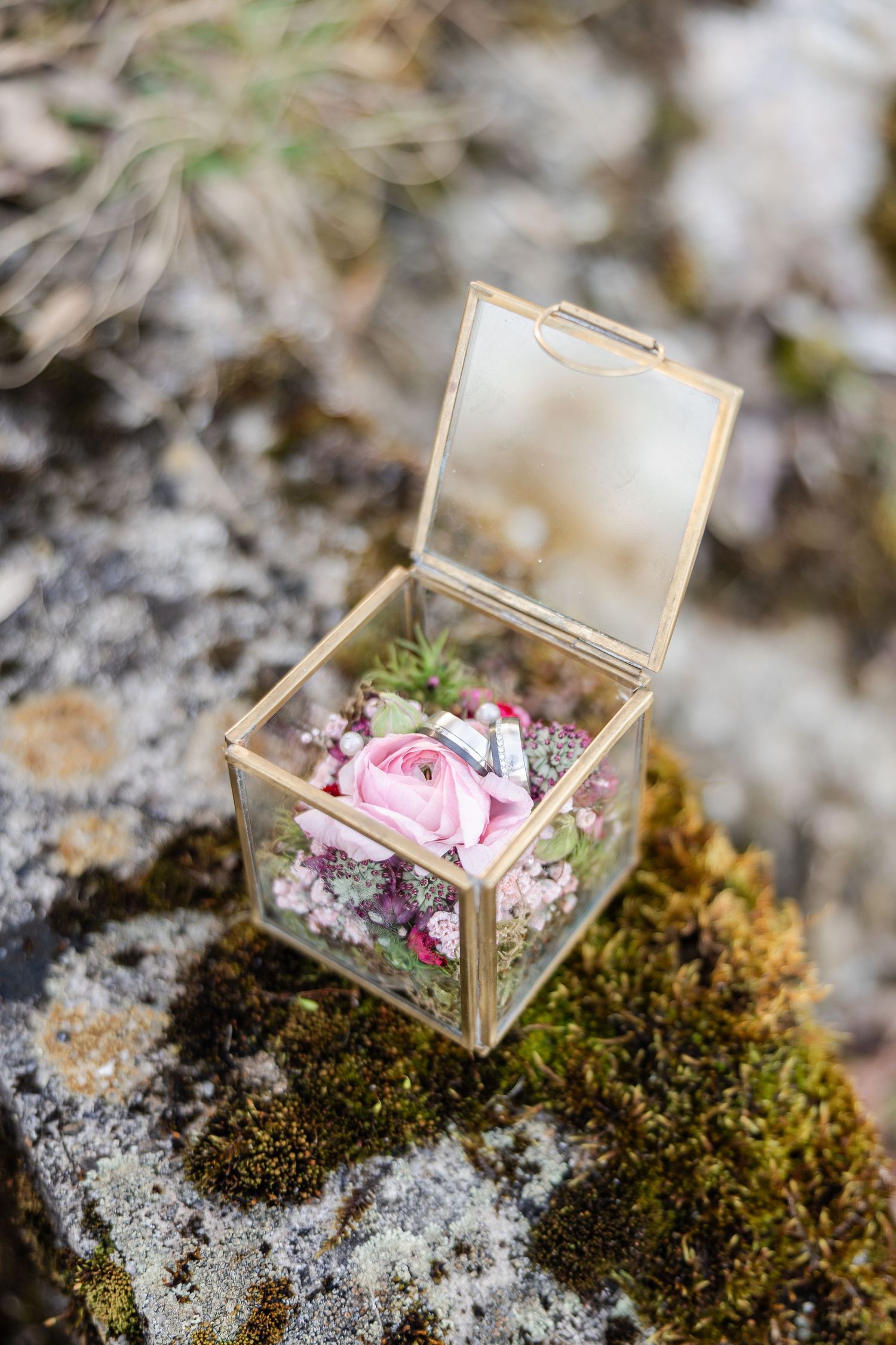 Small glass box with gold trim holds a pink rose and wildflowers, resting on a moss-covered rock outdoors.