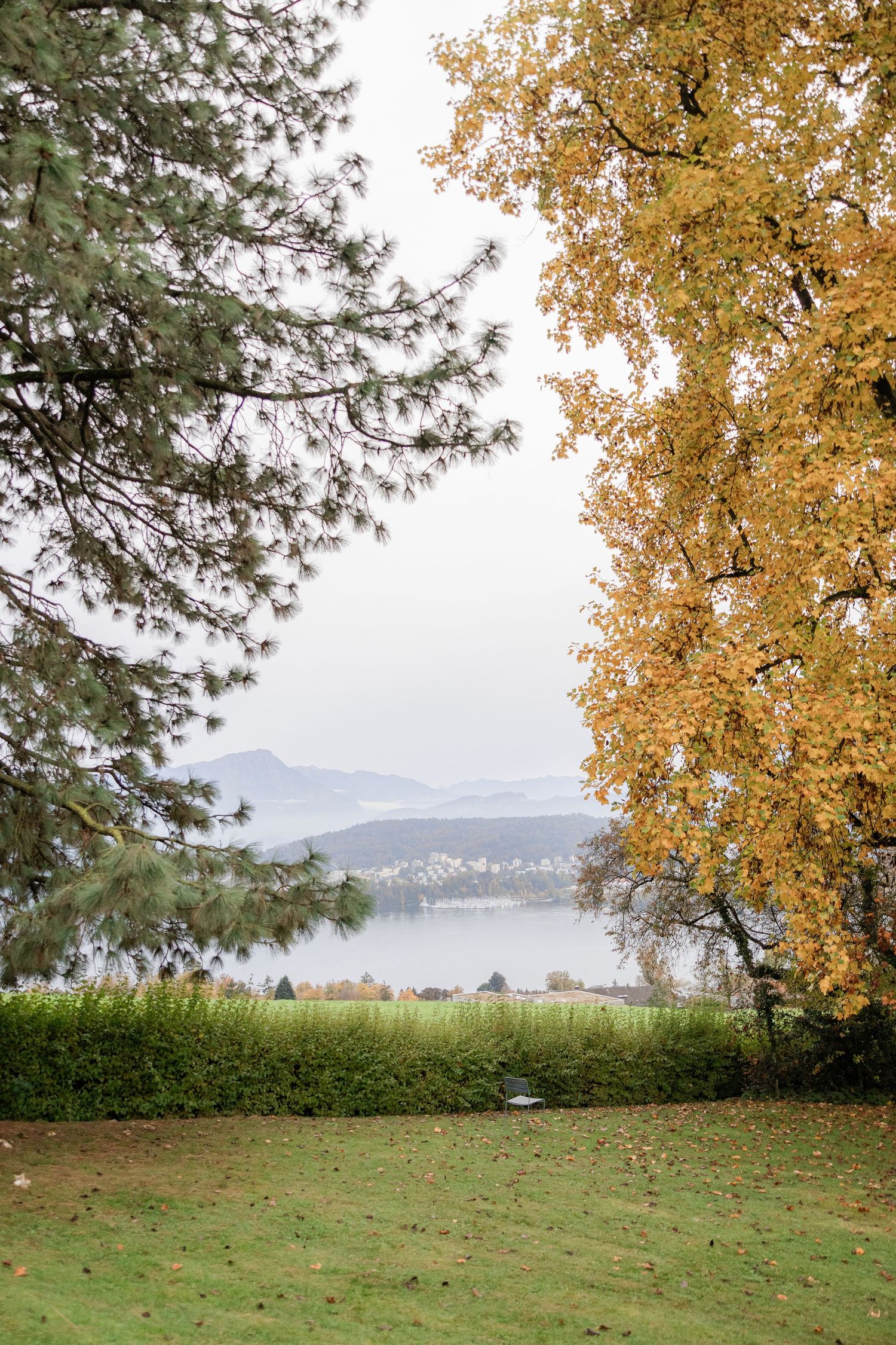 Scenic autumn landscape with yellow birch trees and evergreens overlooking a misty lake and distant mountains.