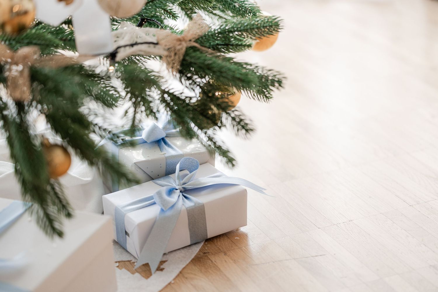 White wrapped Christmas presents with blue ribbons arranged under fresh evergreen branches on a light surface.