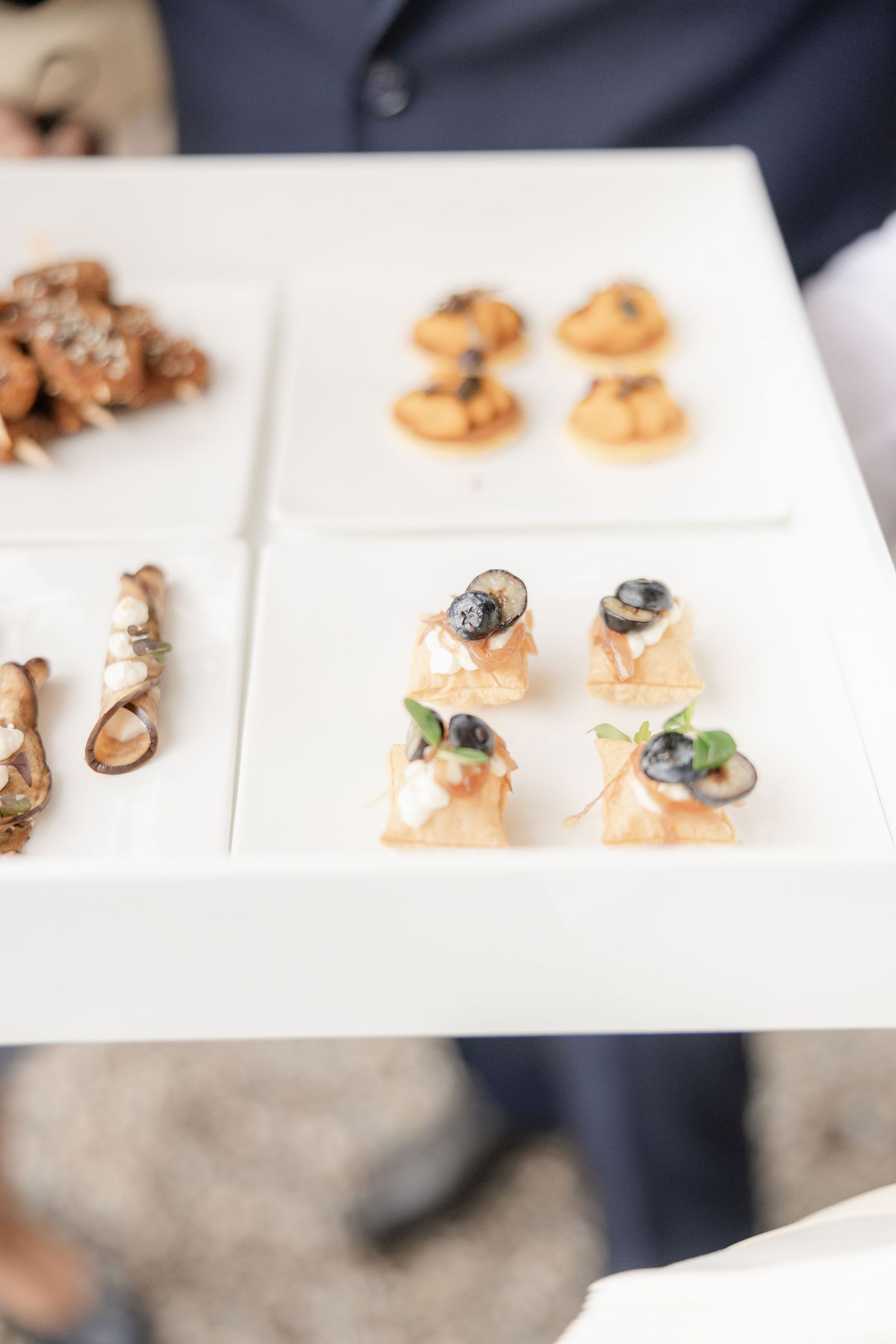 White serving plates display delicate appetizers with garnishes arranged in neat rows on a table.