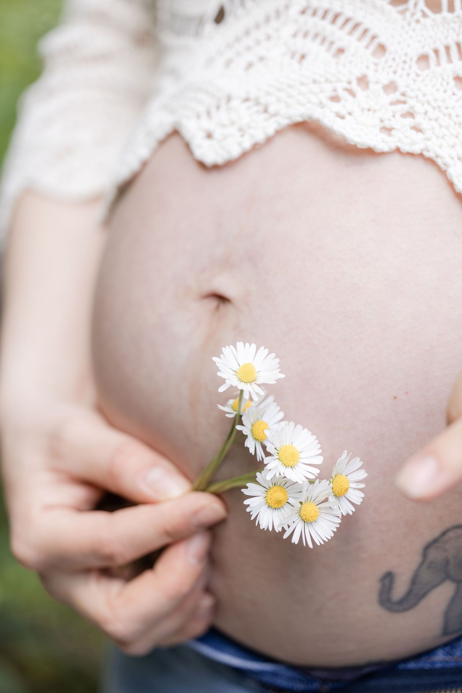 A pregnant belly with delicate white lace and fresh daisy flowers placed against the skin in an artistic maternity photo.