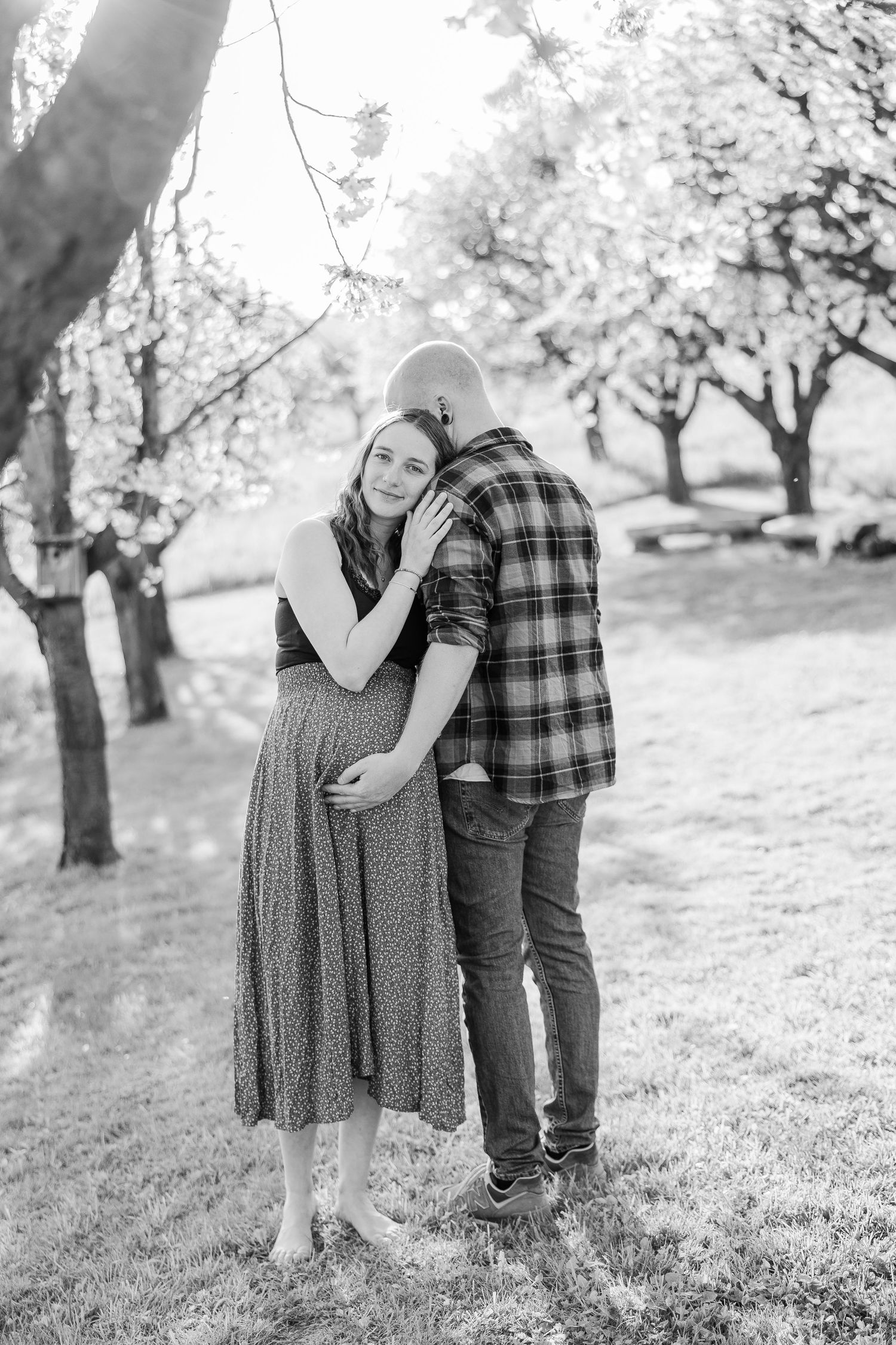 A couple embraces lovingly in a sunny spring orchard with blooming trees in black and white.