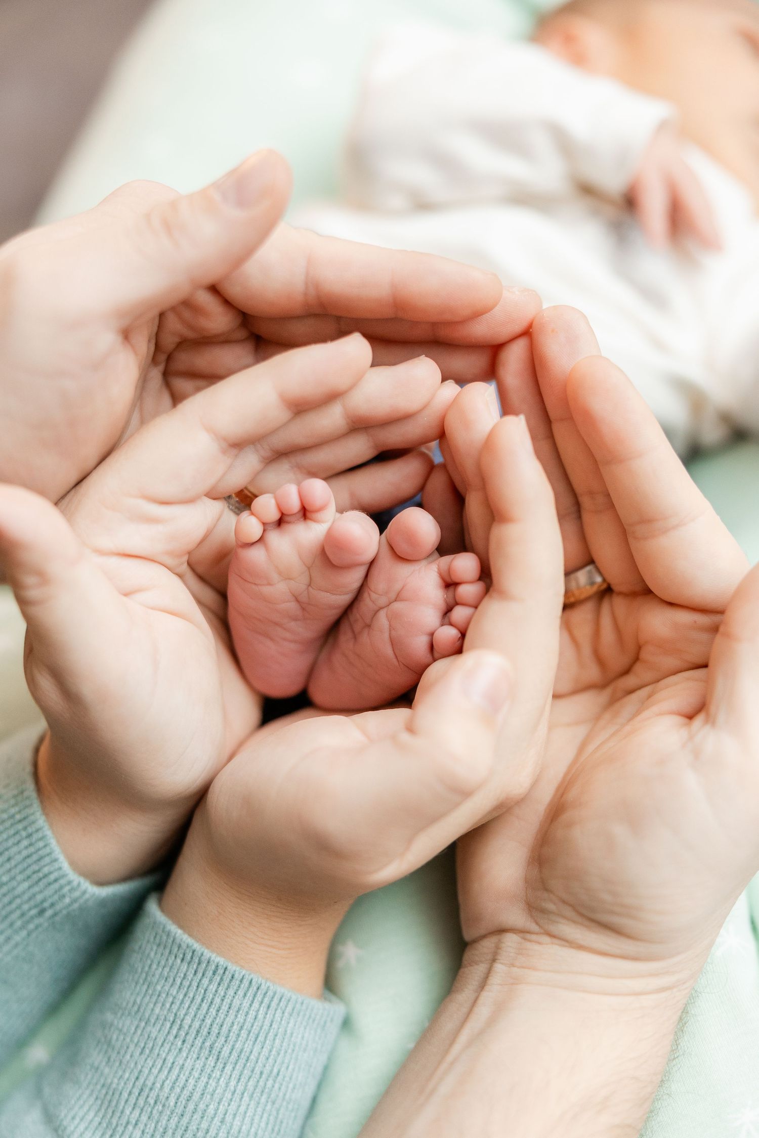 Adult hands gently holding tiny newborn baby feet against a soft mint green blanket background. Baby Foto Brugg, Aargau