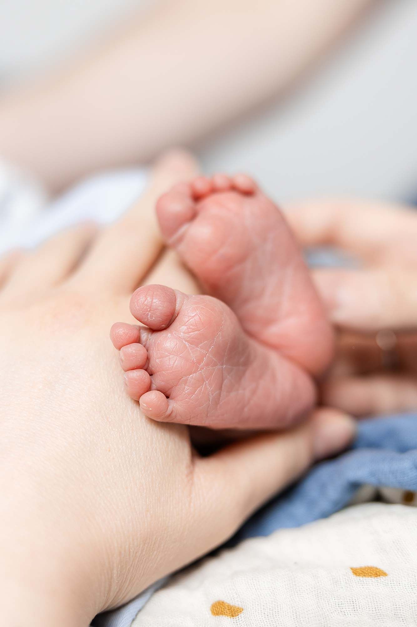 Close-up of a tiny newborn baby's foot being gently held by an adult hand against a soft white background.