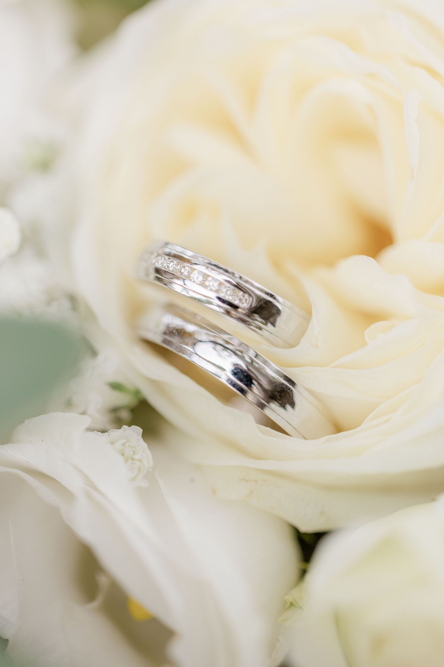 Wedding rings nestled on white rose petals in a series of elegant macro shots.