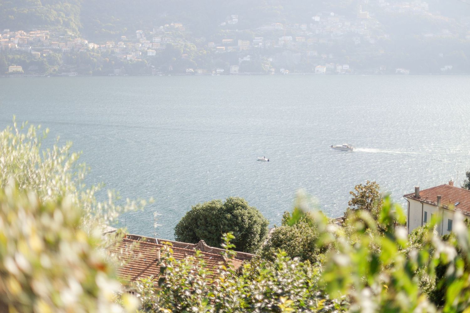 Scenic lakeside view through flowering bushes with small boats visible on misty water below coastal homes.