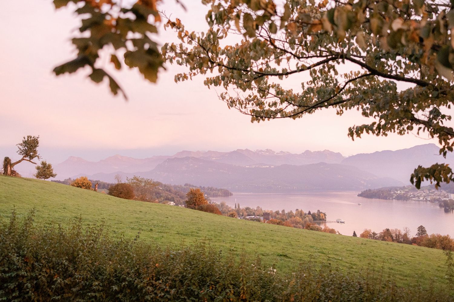 Rolling green hills and mountains stretch across a scenic landscape at sunset with golden light filtering through trees.