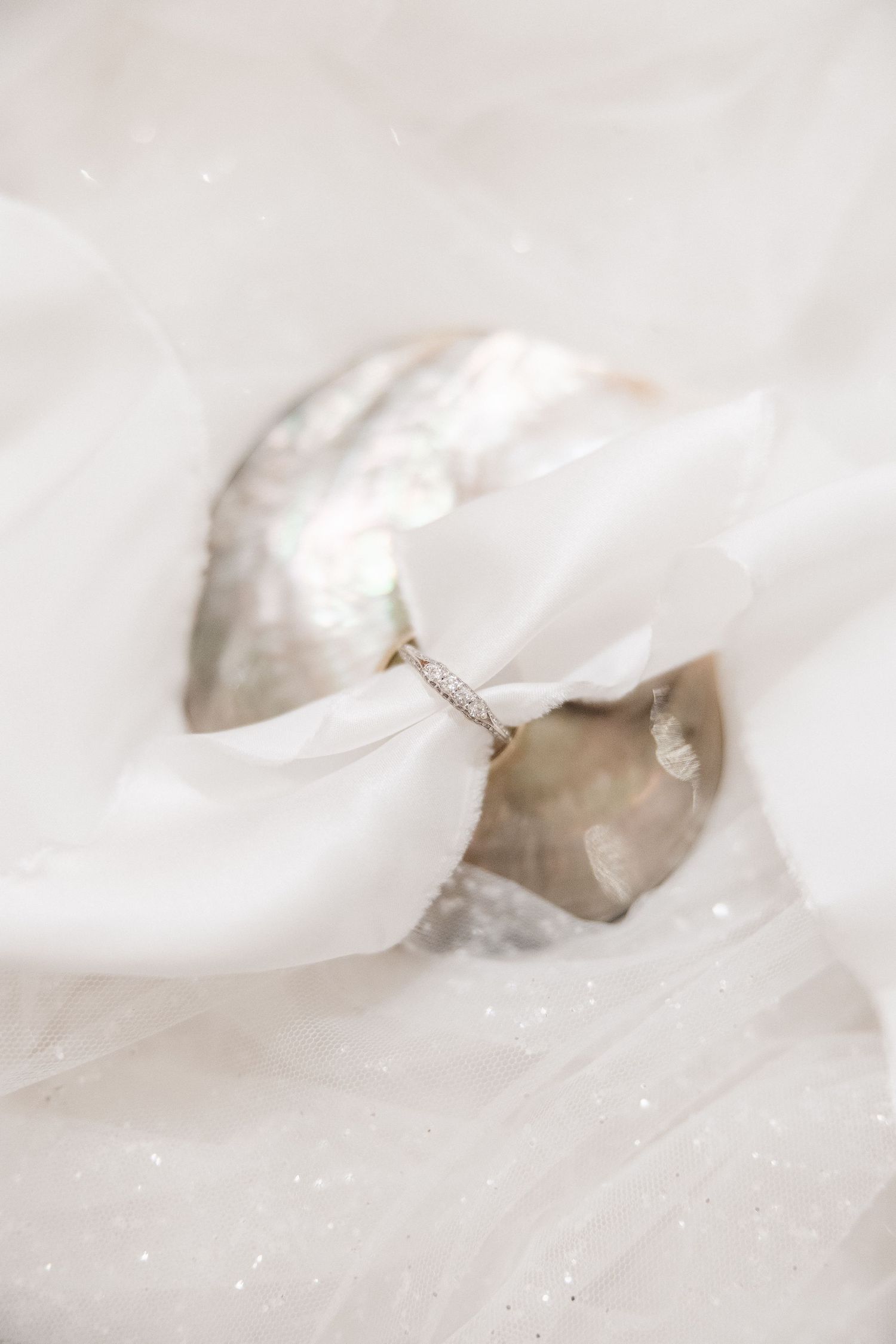 Extreme close-up macro photograph of white crystalline structures or ice formations with delicate details.