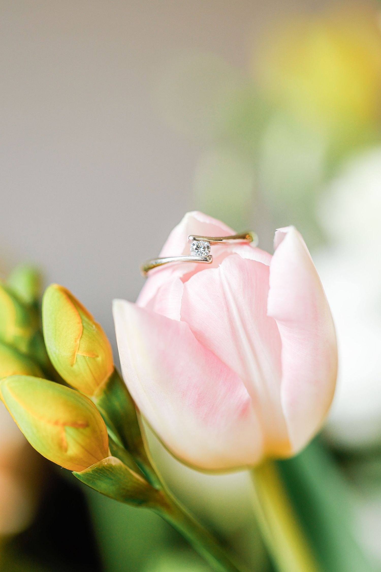 Diamond engagement ring nestled in a delicate pink tulip bloom with yellow buds in soft focus background.