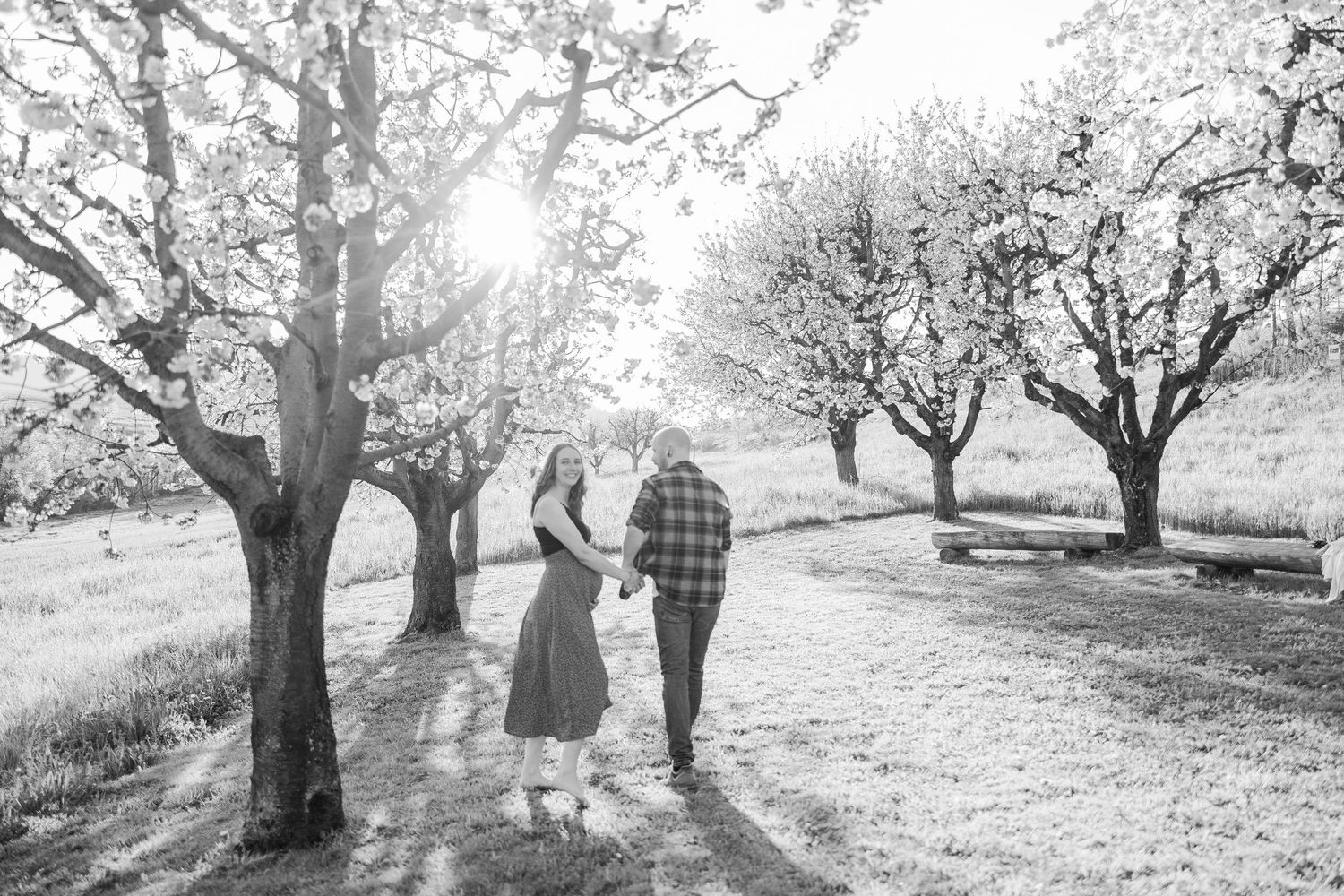Black and white photos of people enjoying a spring day among blooming cherry trees in an orchard - Babybauch Fotograf Aargau