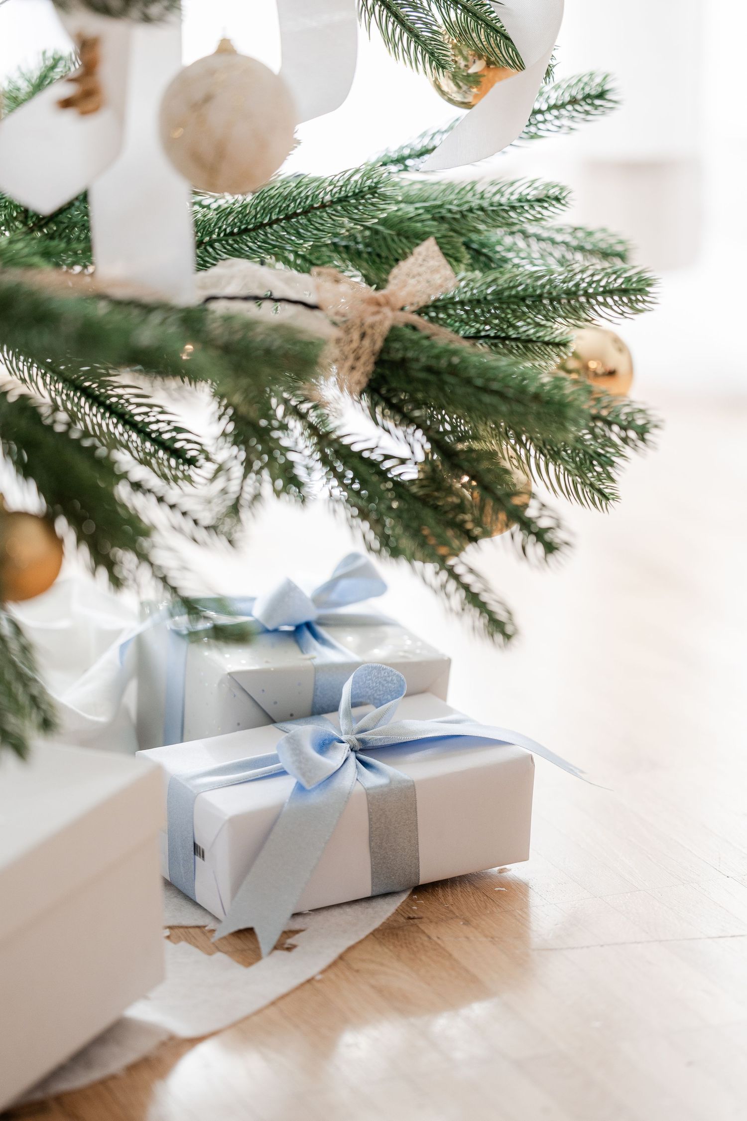 Silver wrapped Christmas presents with blue ribbons sit beneath evergreen branches decorated with gold ornaments.