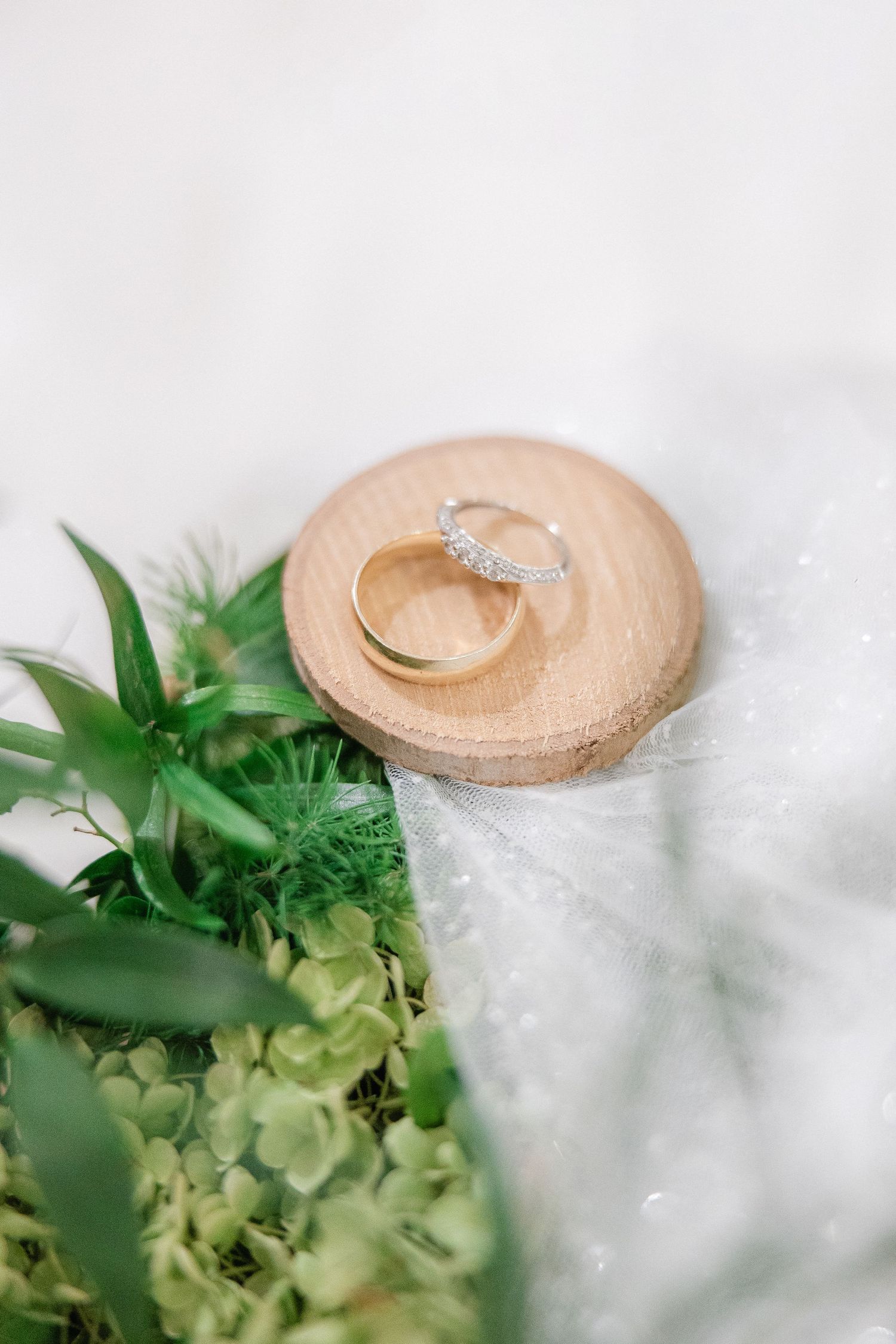 Wedding rings arranged on a beige surface with green foliage decorations in soft natural lighting.