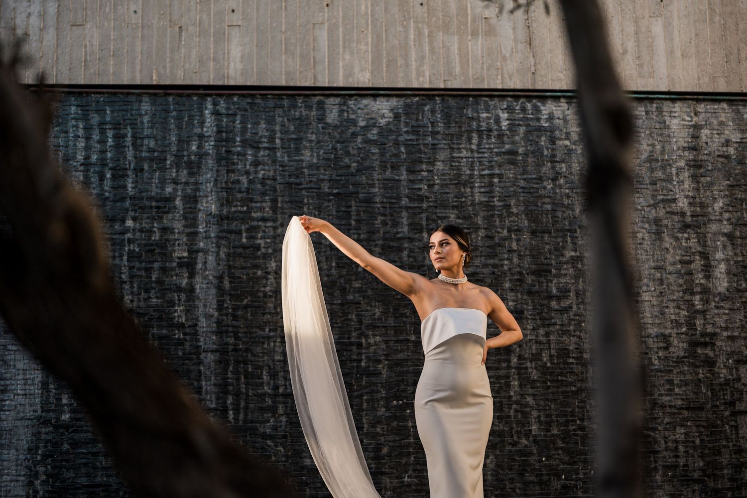 Bride portrait natural light Valle de Guadalupe — Luis Tovilla Photography