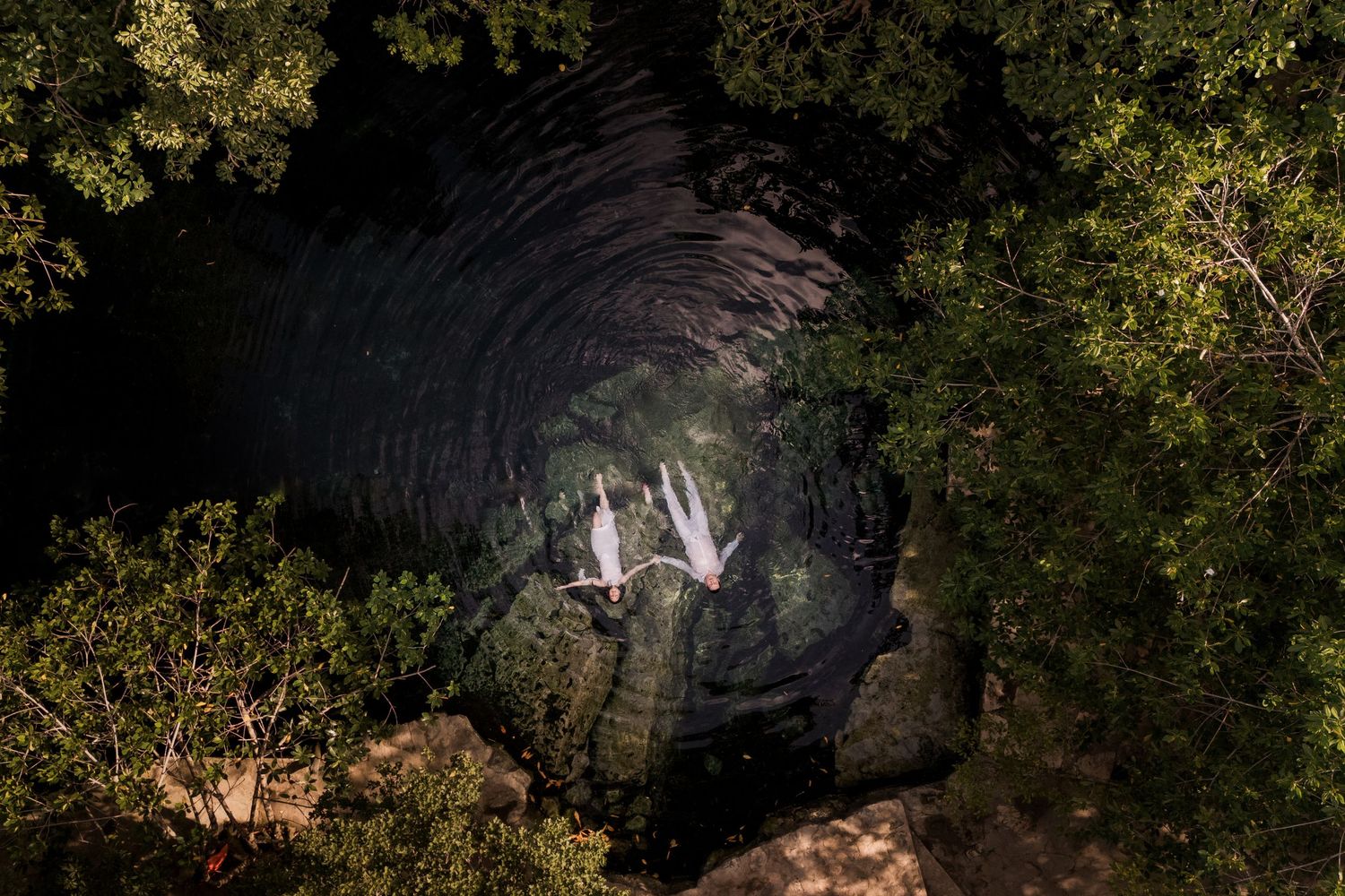 Aerial night view of a cenote surrounded by lush trees with star trails and two white birds in flight.