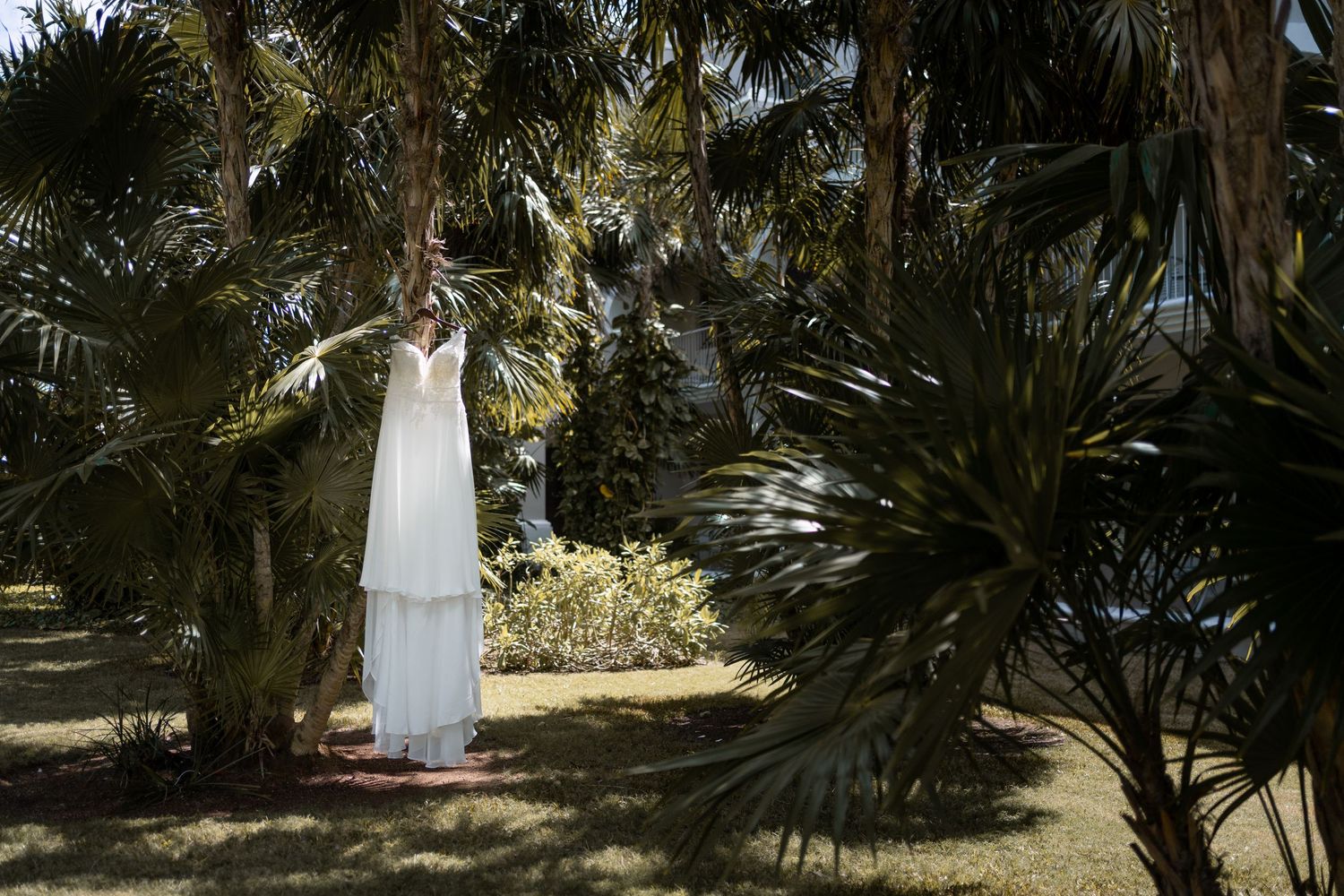 Wedding at dreams tulum resort