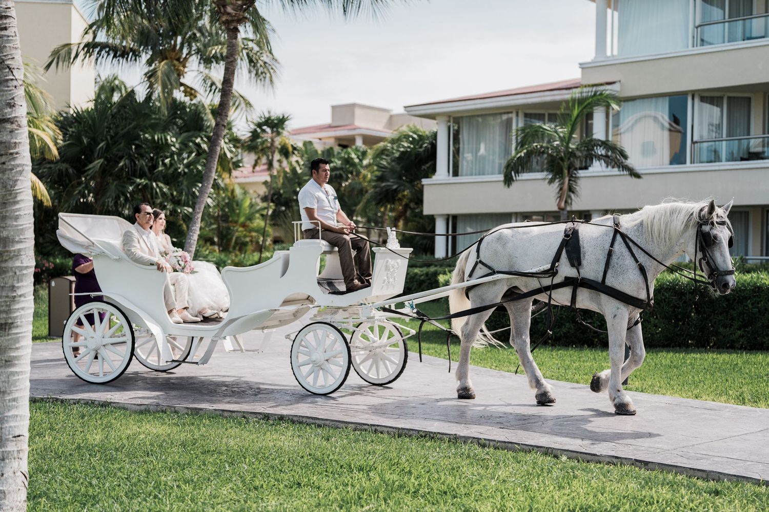 moon palace wedding cancun
