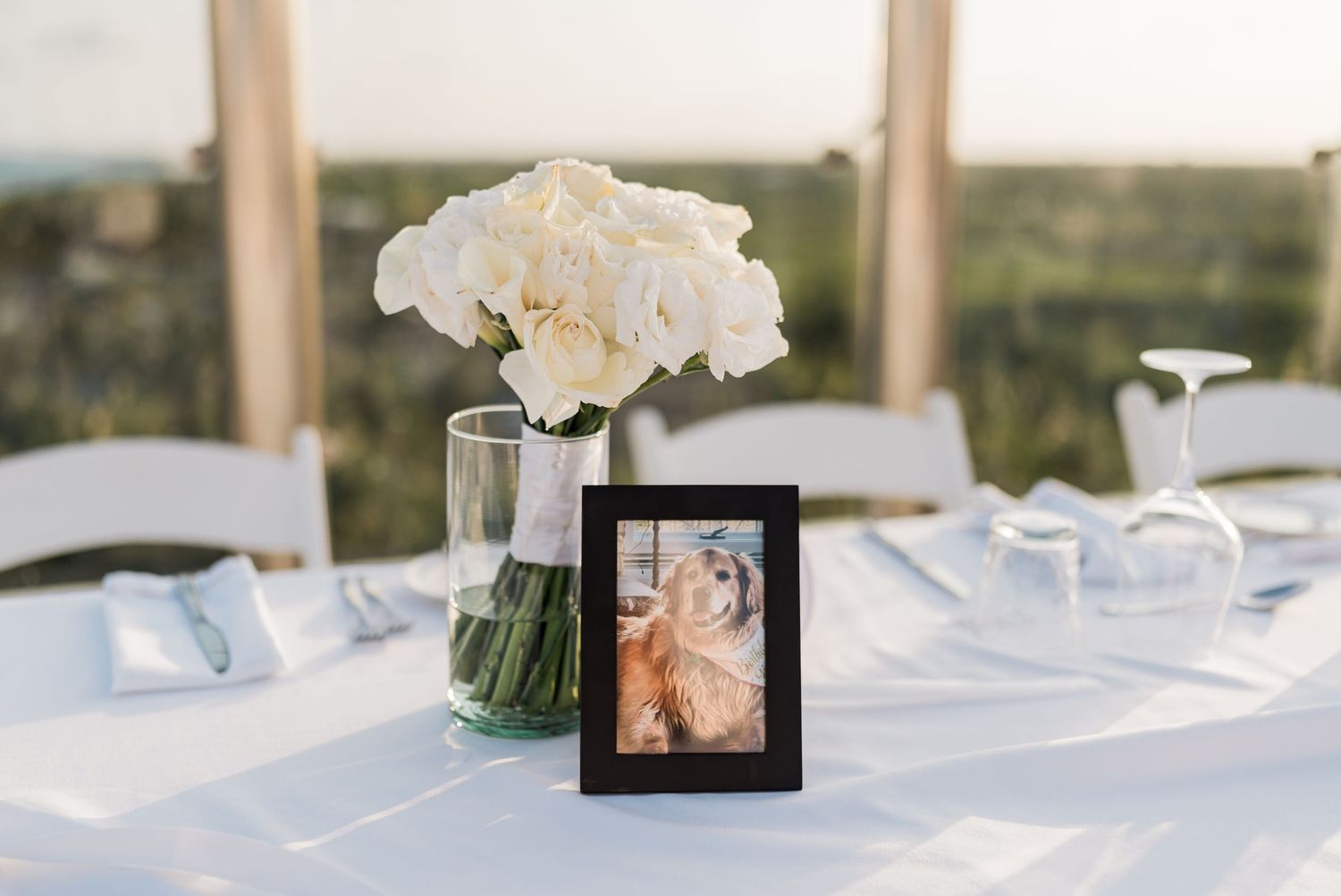 wedding at el dorado royal