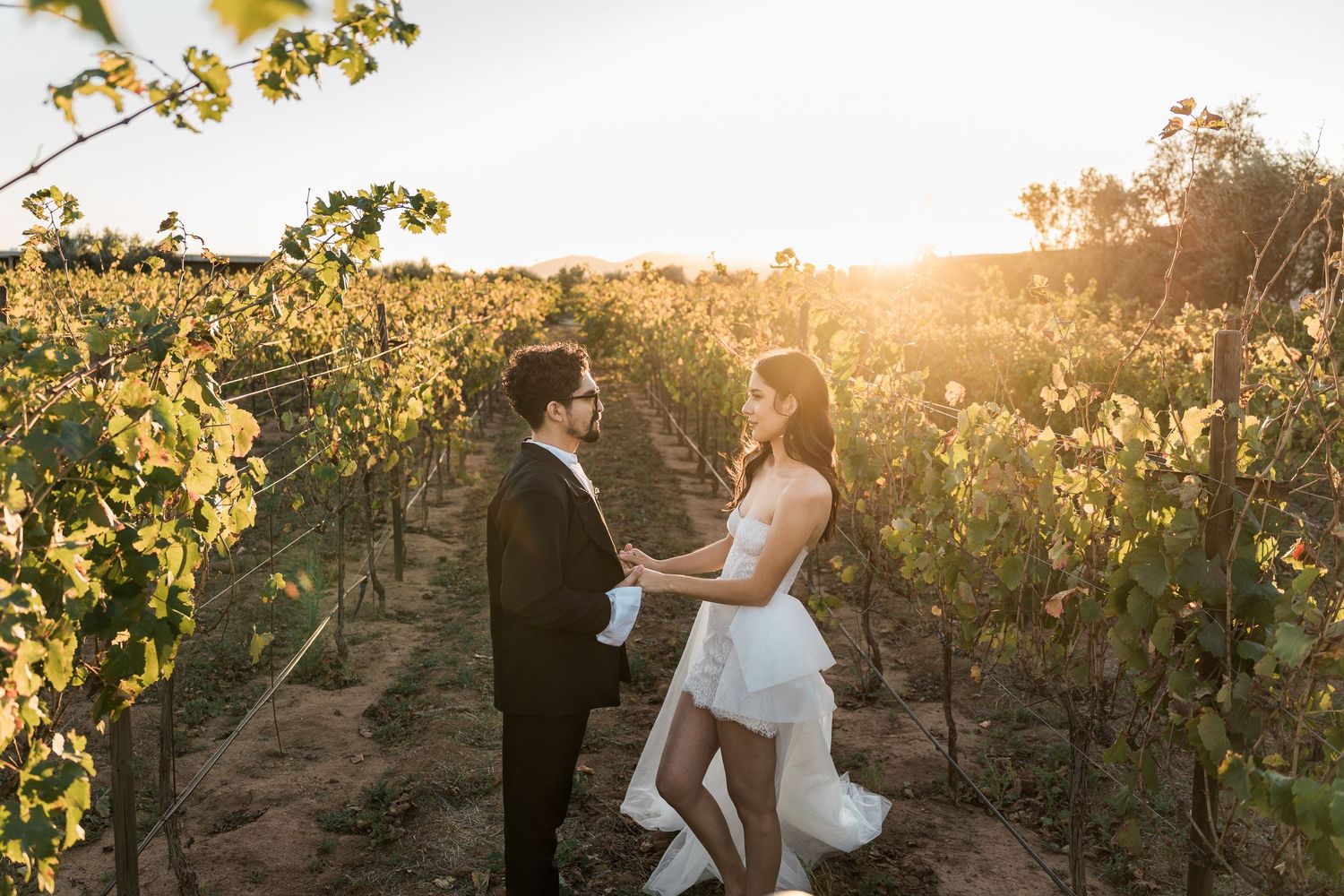 Wedding couple portrait among vineyard rows Valle de Guadalupe Mexico — Luis Tovilla Wedding Photographer