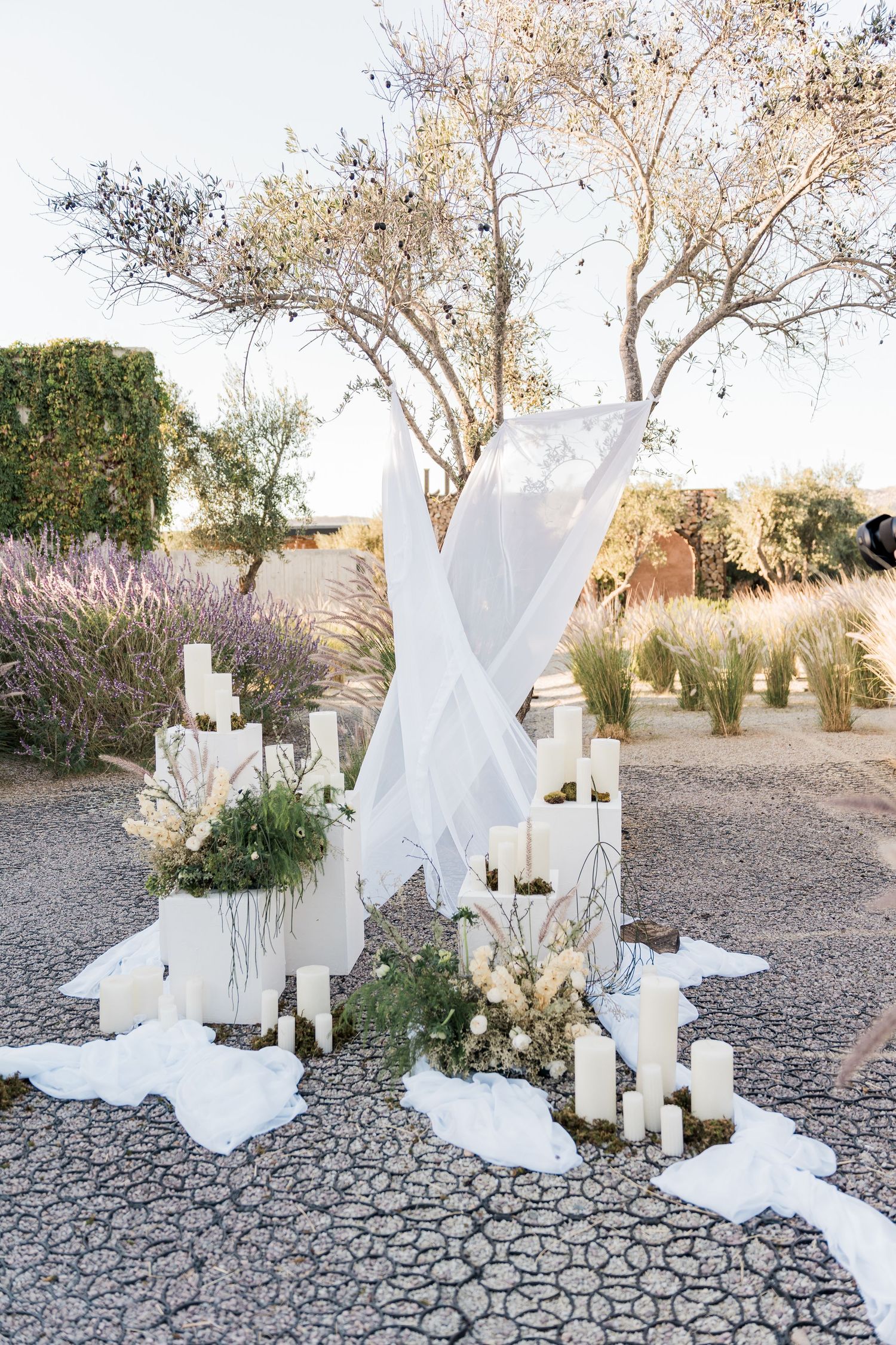 best time to get married in valle de guadalupe