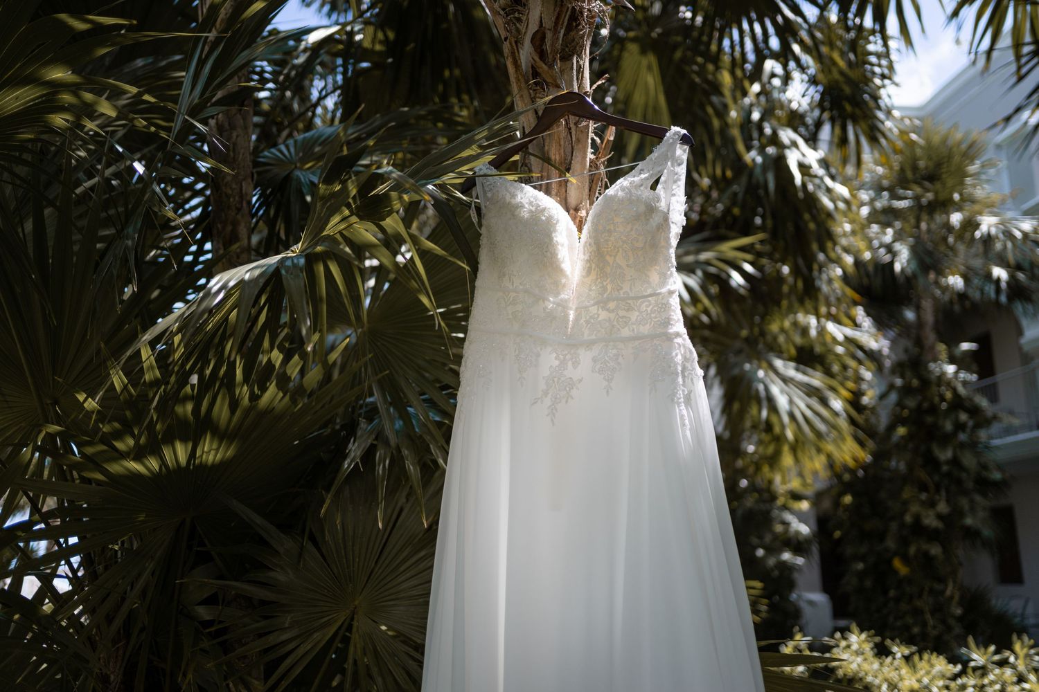 Elegant white wedding dress with lace bodice hanging from tropical palm tree in sunlit garden.