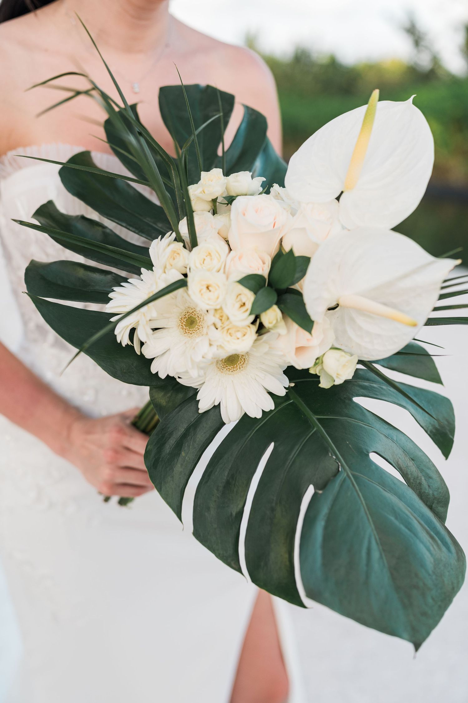 Bride holding tropical wedding bouquet with white anthuriums, gerbera daisies, roses, and monstera leaves.