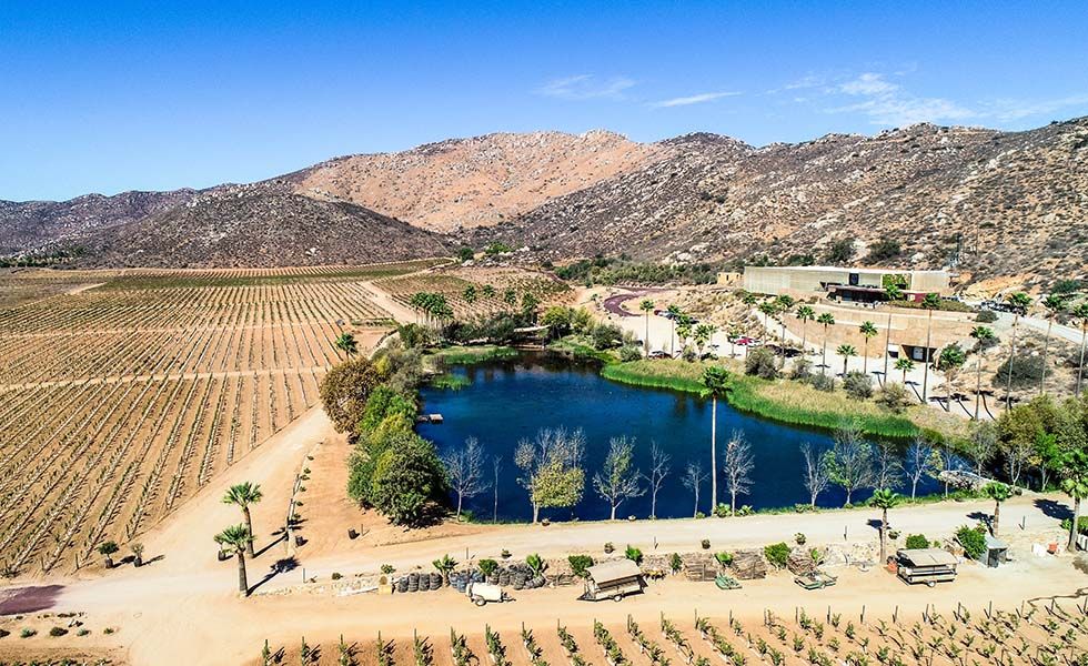 valle de Guadalupe wedding venues - monte xanic